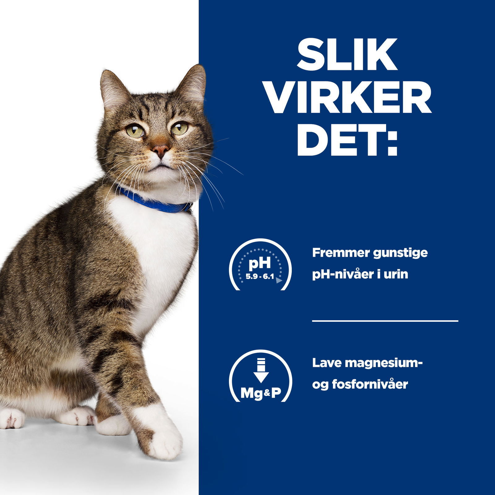 Hills Diet Cat s/d 1,5kg