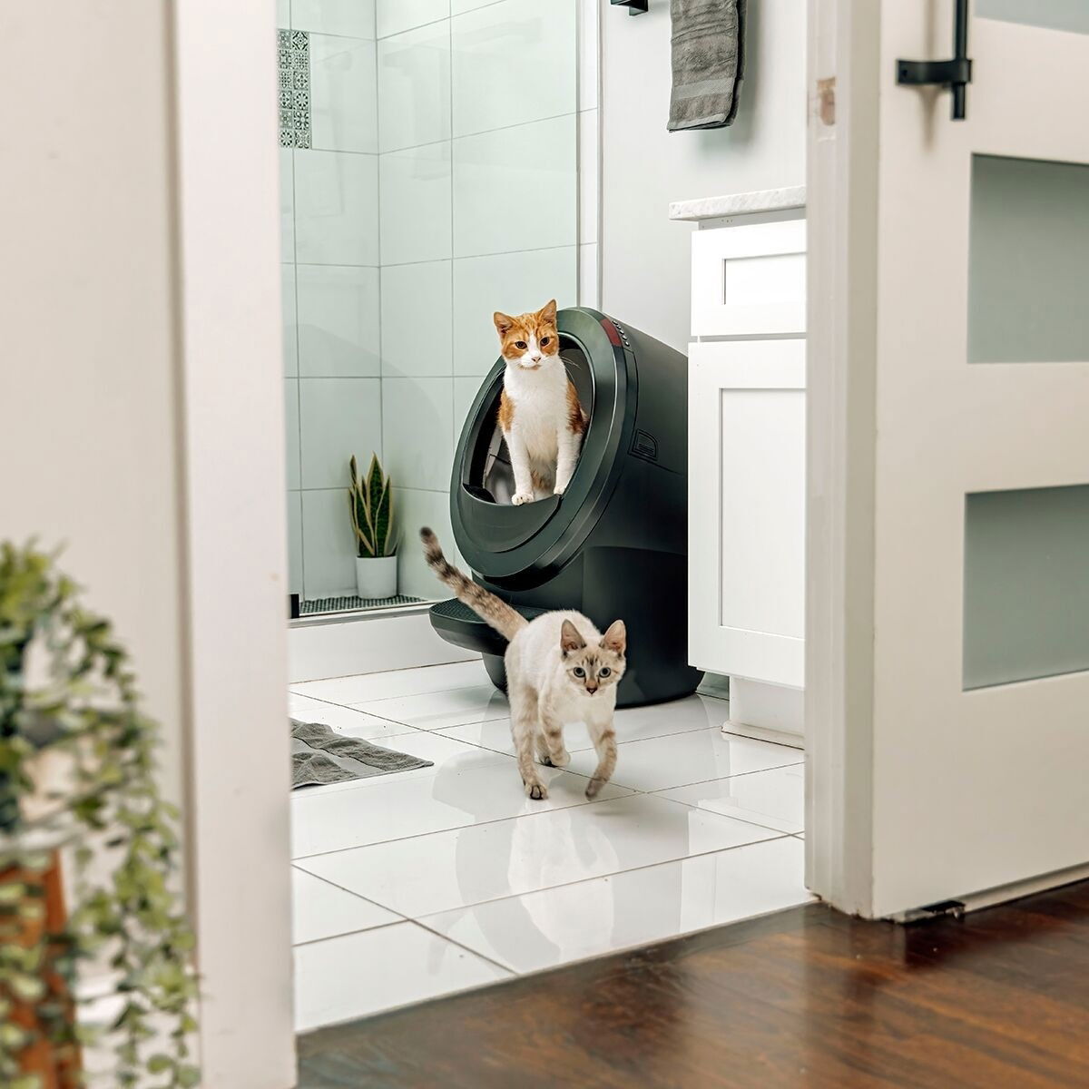 Whisker Litter-Robot 4, black