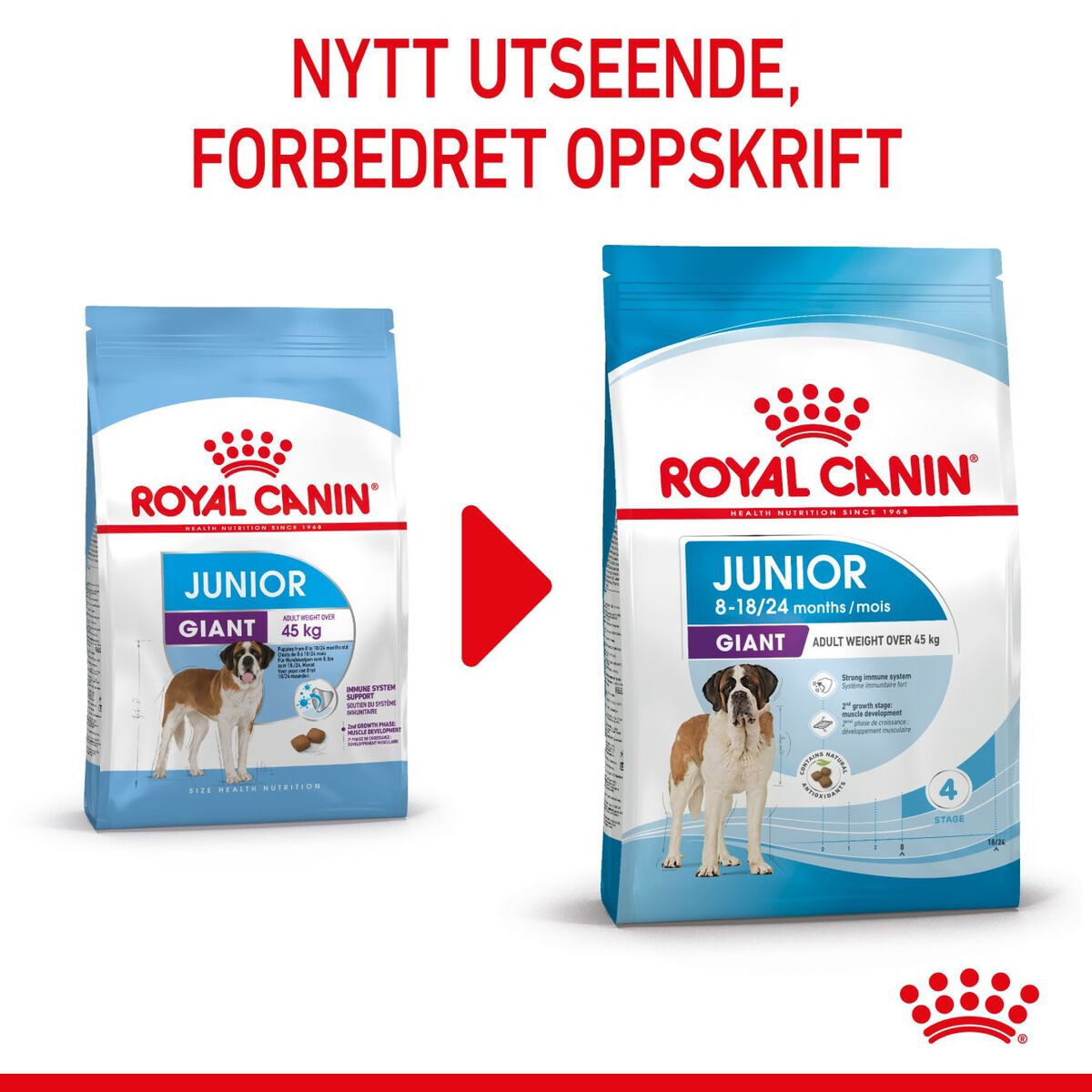 Royal Canin Giant Junior tørrfôr til valp