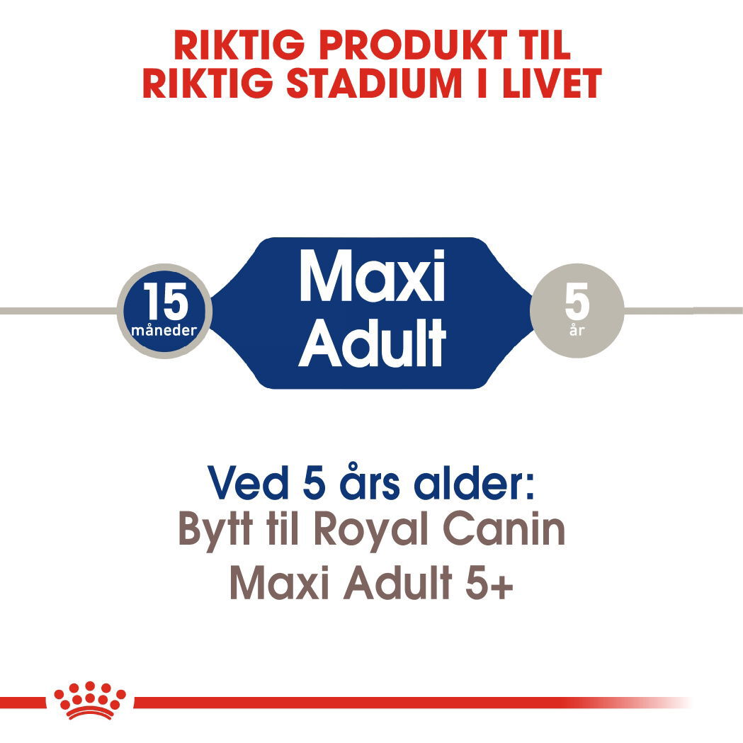 Royal Canin Maxi Adult tørrfôr til hund