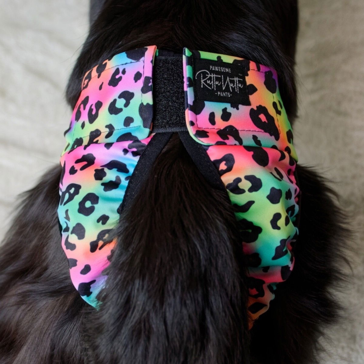 RuttuNuttu heat pants wraparound, rainbow leopard