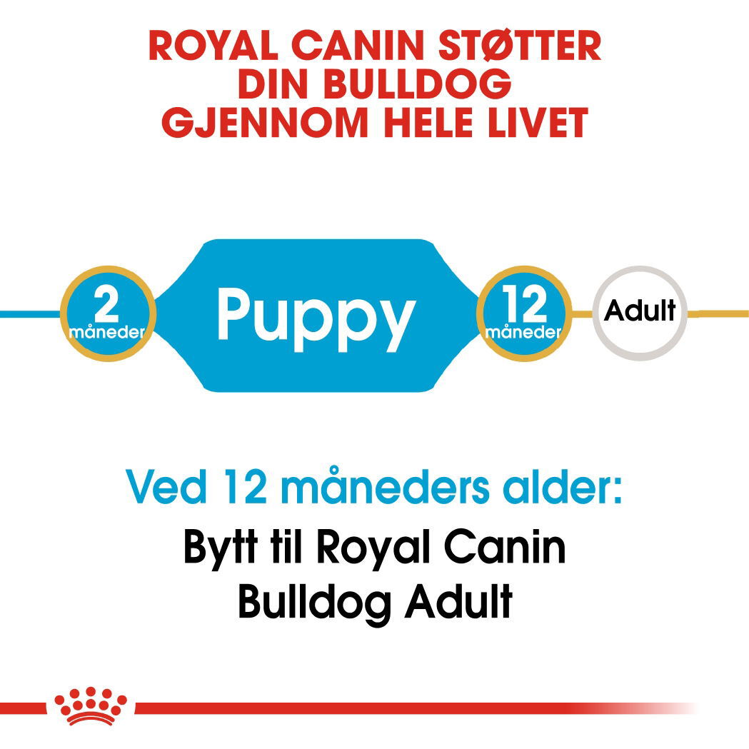 Royal Canin Bulldog Puppy tørrfôr til hundvalp