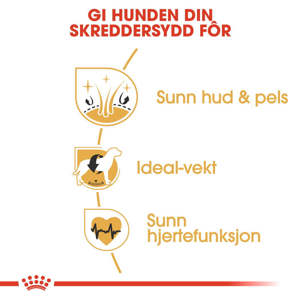Royal Canin Cocker Adult tørrfôr til hund