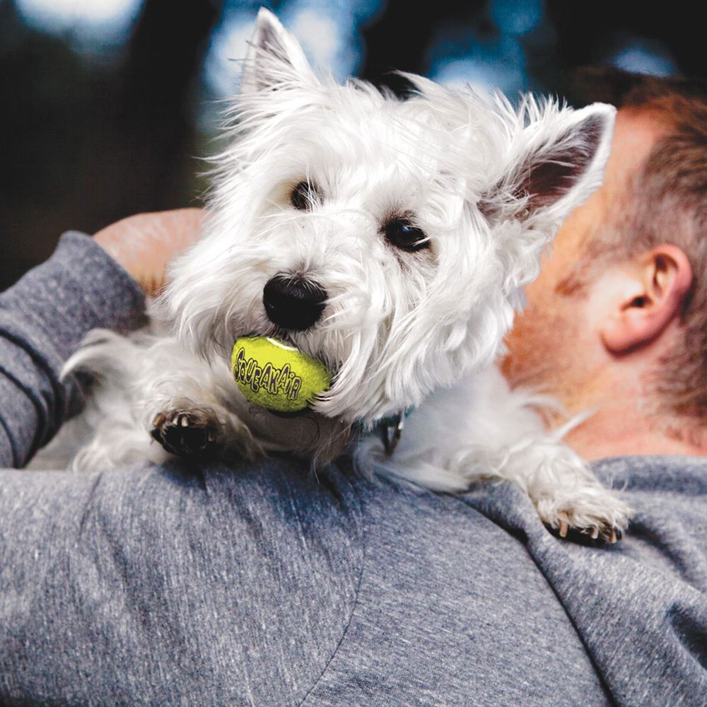 KONG tennisball squeaker
