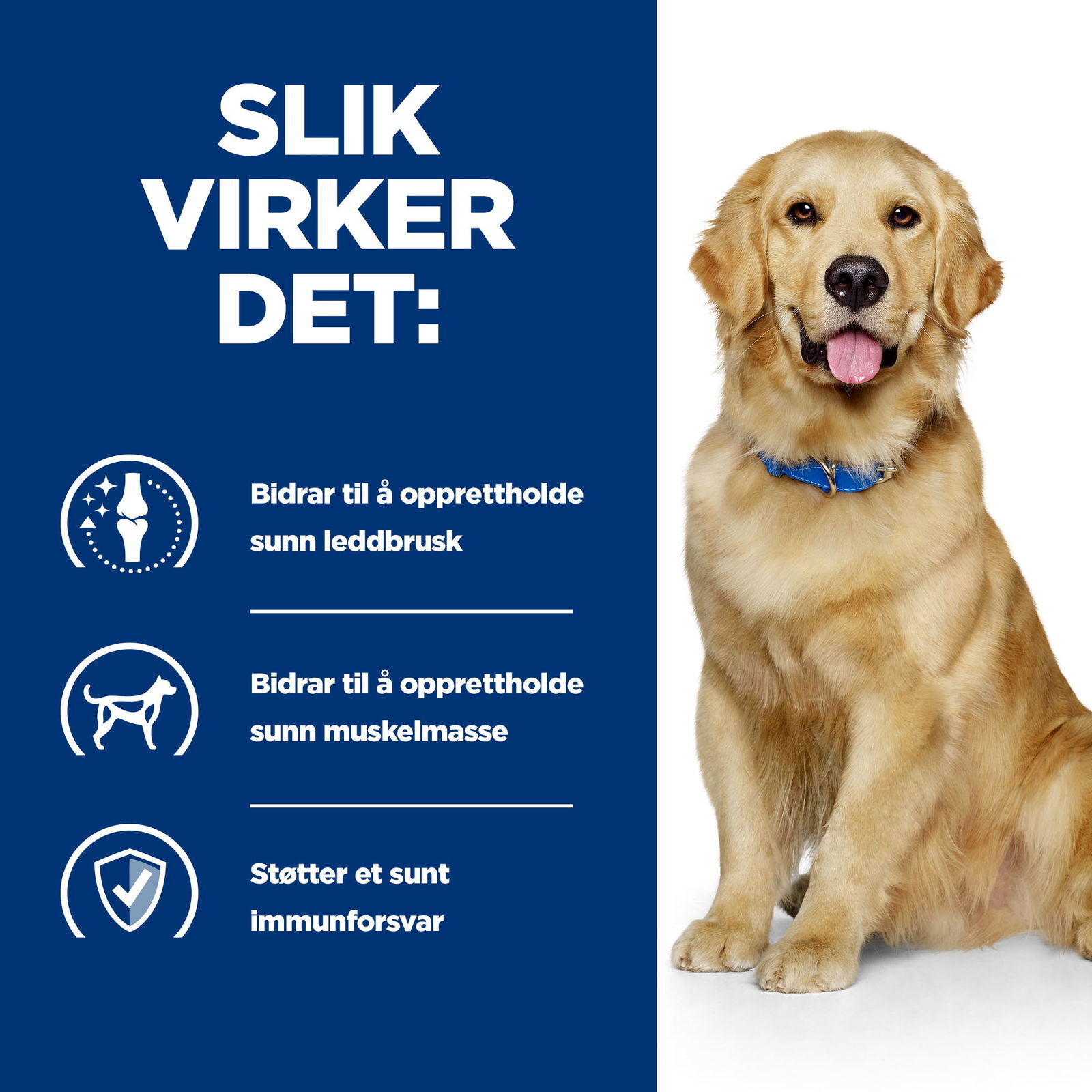 Hills Diet Dog j/d 2kg