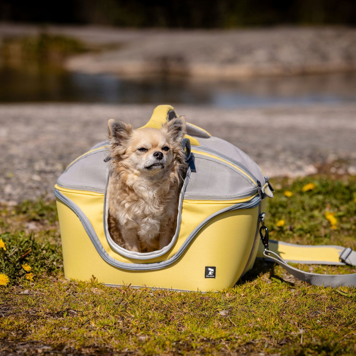 Feel Active Tour basket carrier lemon yellow