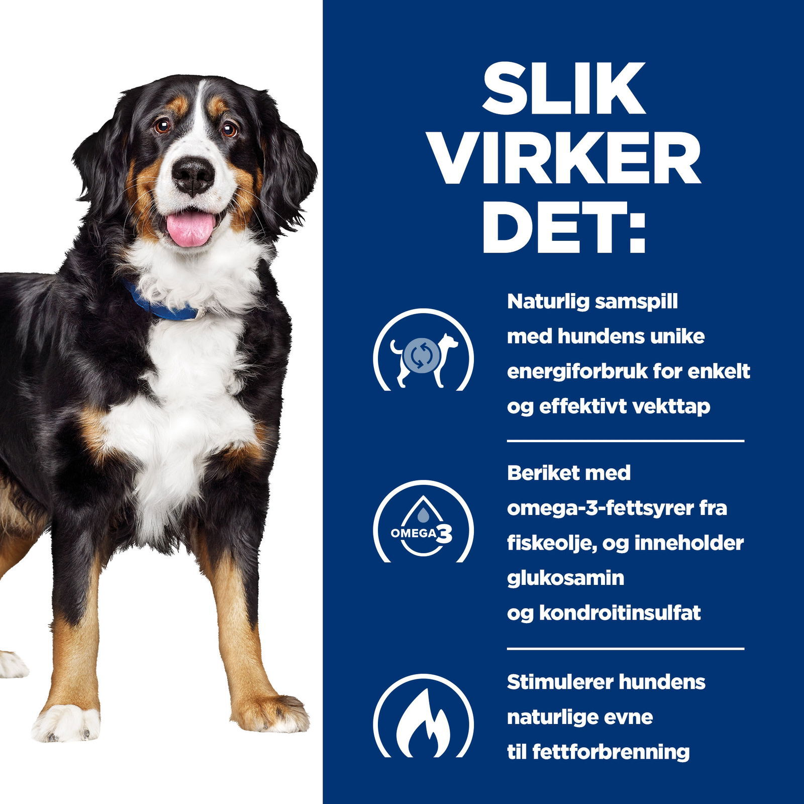 Hills Diet Dog Metabolic + Mobility 12kg