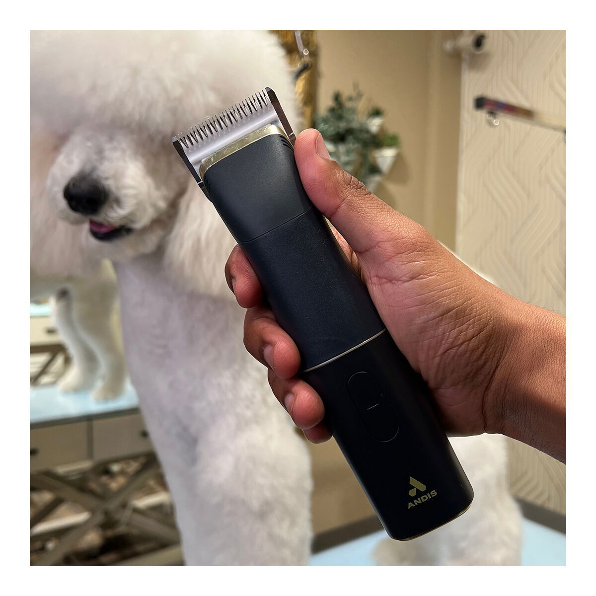 Andis beSPOKE clipper