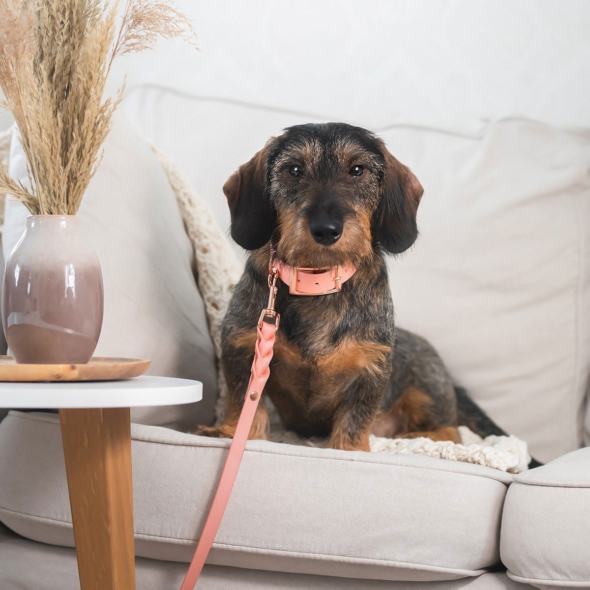 Tyylivoitto Braid BioThane-leash, peach/rosegold