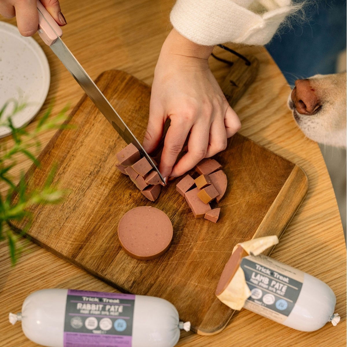 Trick&Treat Paté Sausage Turkey