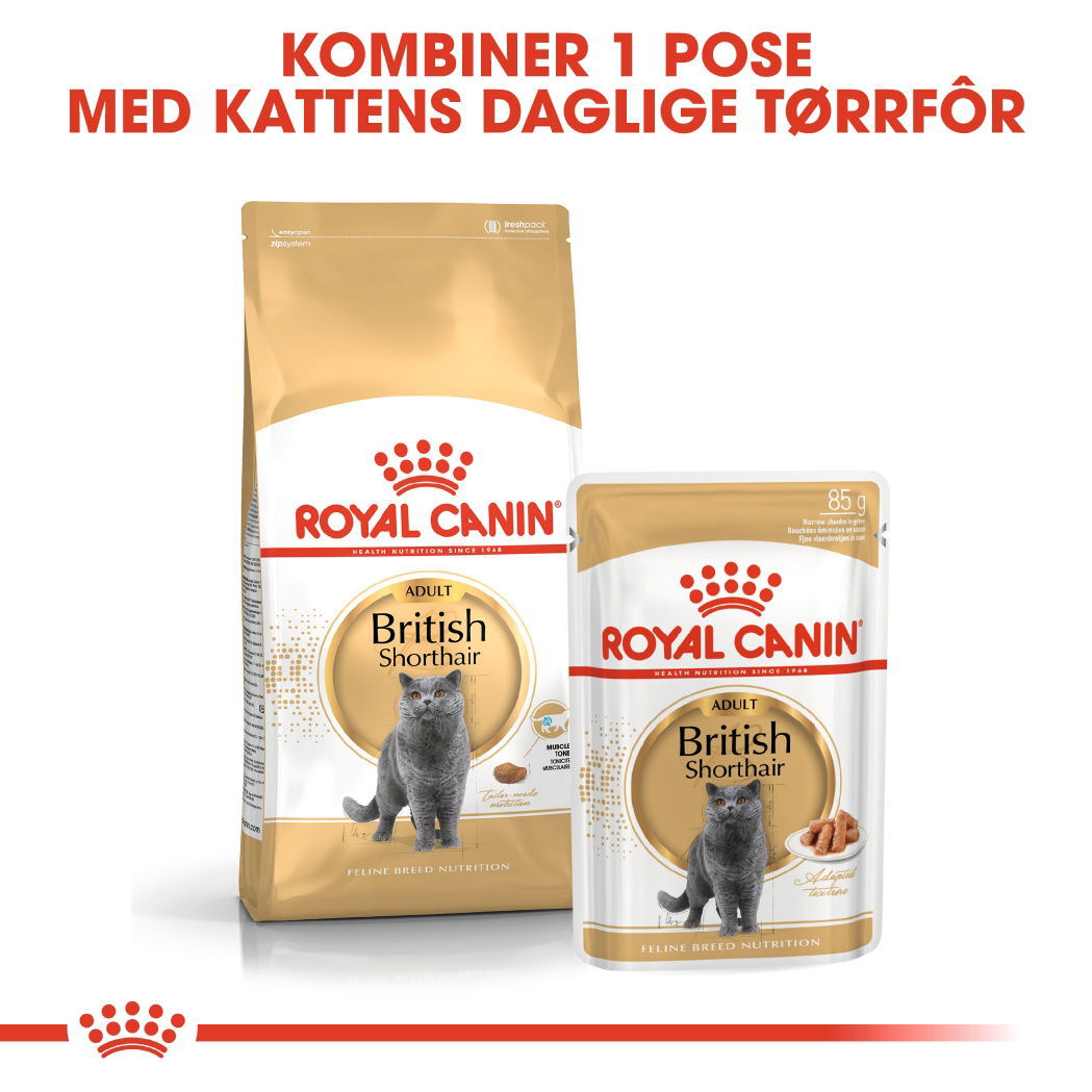 Royal Canin British Shorthair Adult Gravy våtfôr til katt