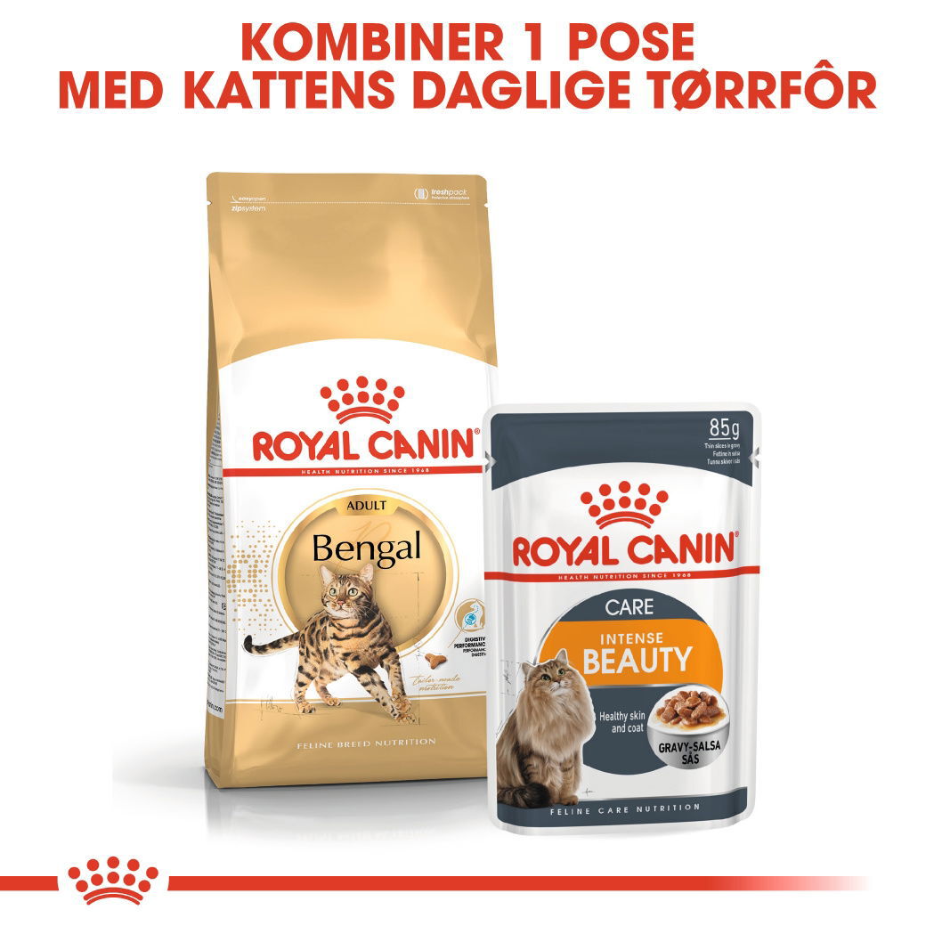 Royal Canin Bengal Adult tørrfôr til katt