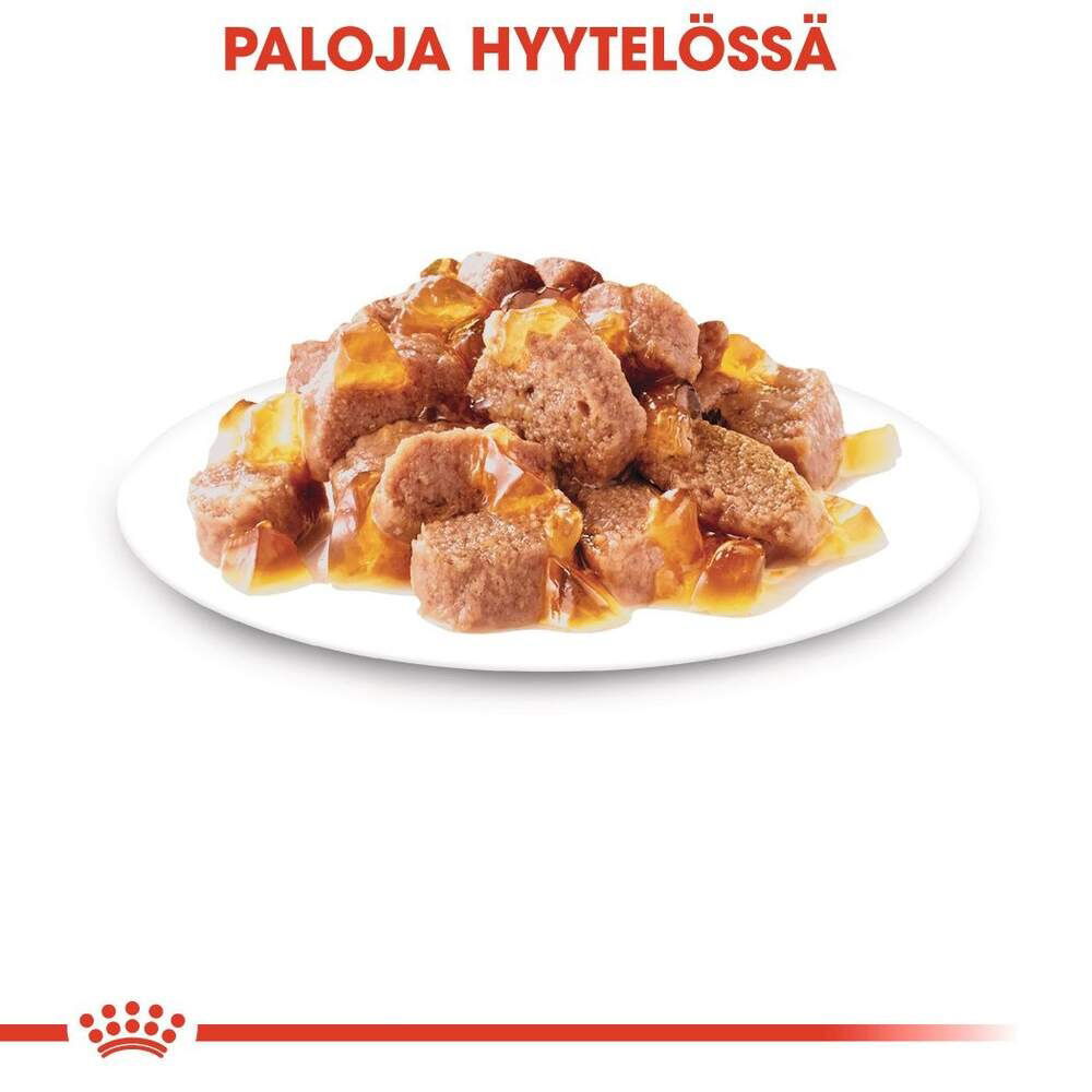Royal Canin Sterilised Jelly Adult våtfôr til katt
