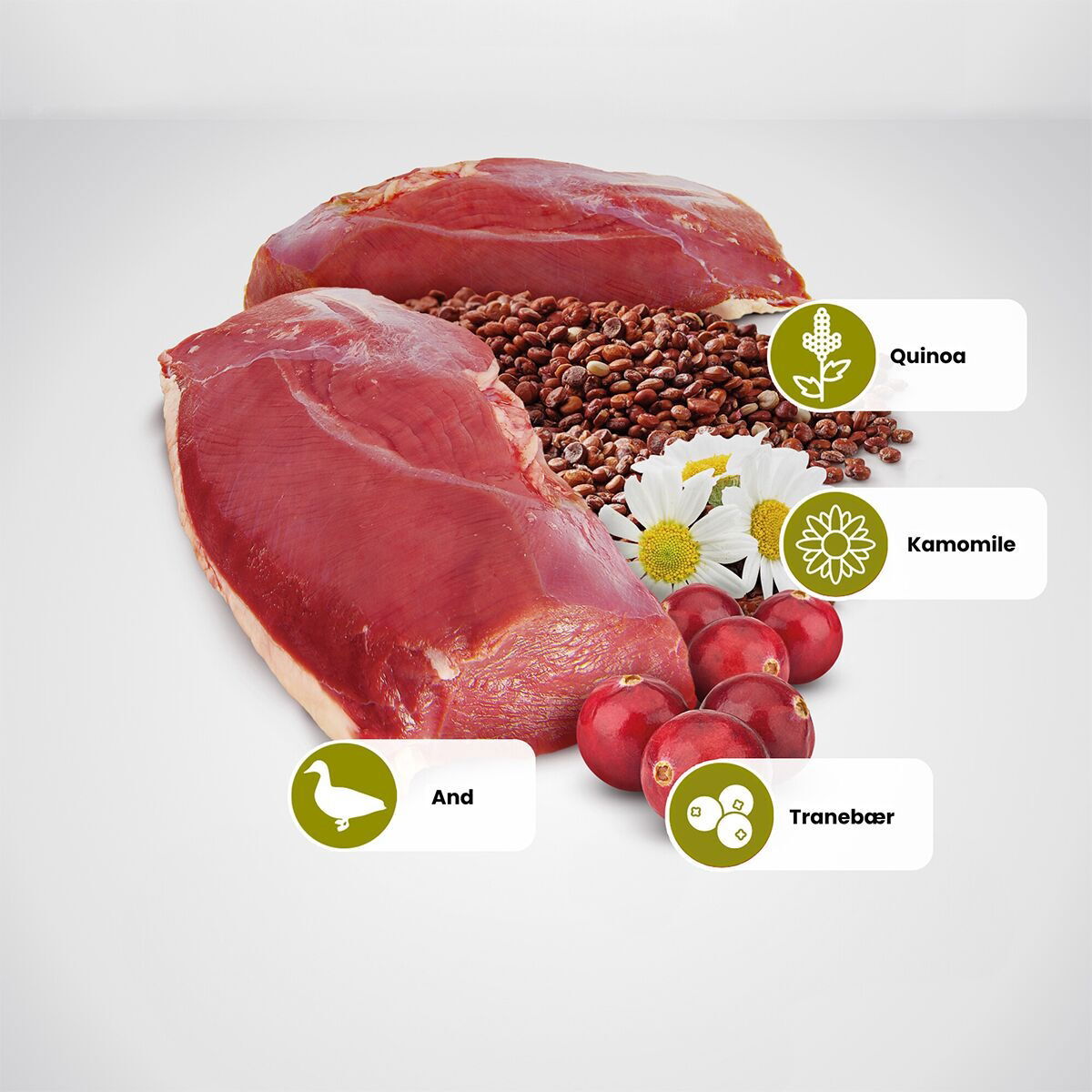 N&D Quinoa Cat Urinary Duck