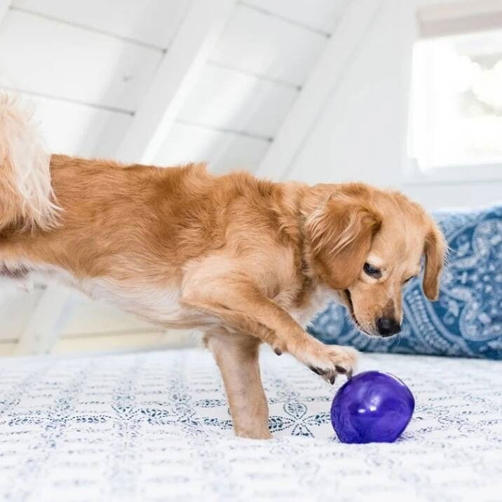 Nina Ottosson Outward Hound Lil Snoop purple