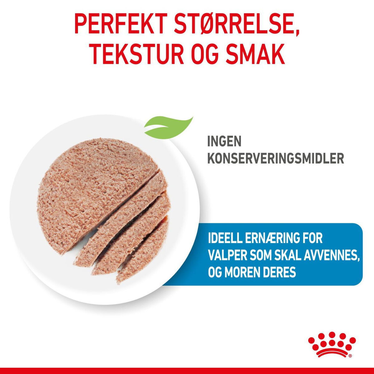 Royal Canin Mother & Babydog Starter Mousse våtfôr til hund og valp