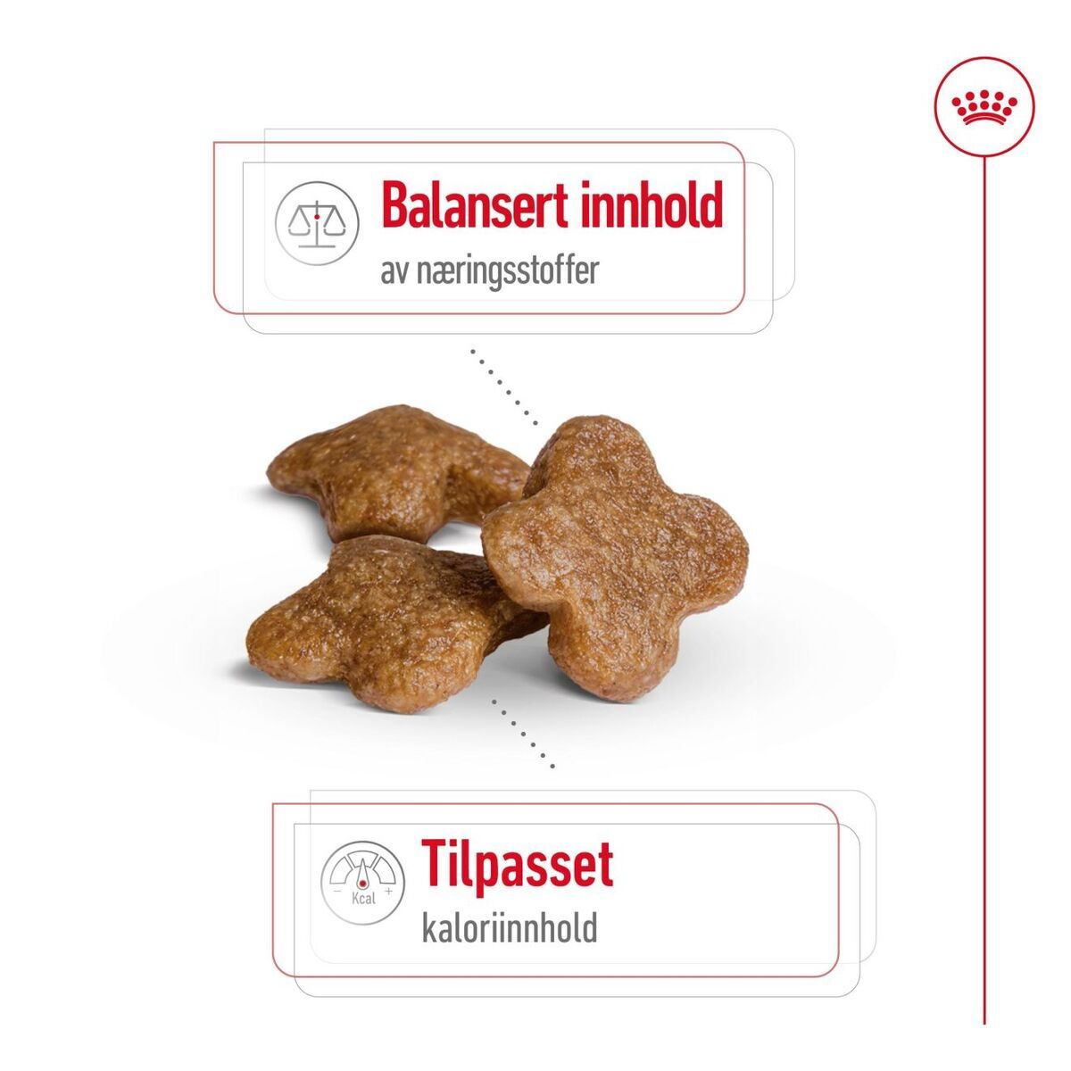 Royal Canin Mini Adult 8+ tørrfôr til hund