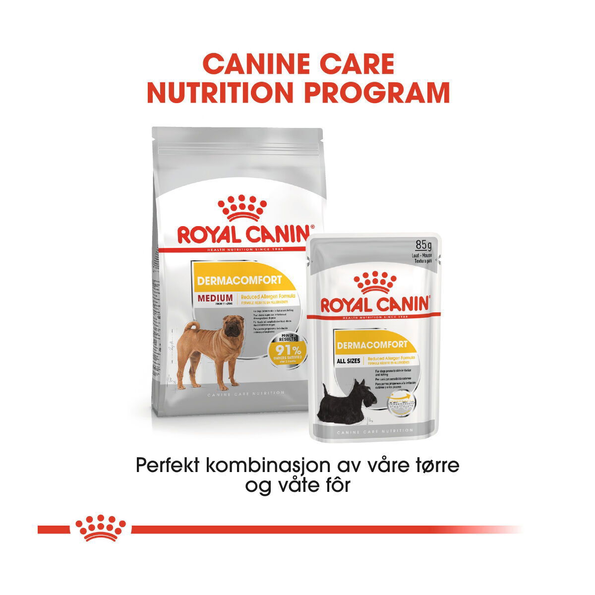 Royal Canin Dermacomfort Medium Adult tørrfôr til hund