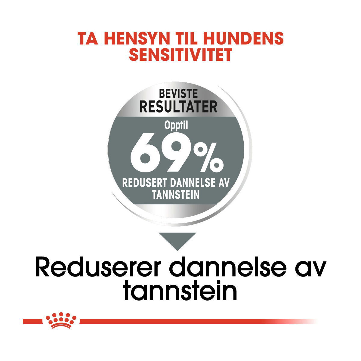 Royal Canin Dental Care Mini Adult tørrfôr til hund