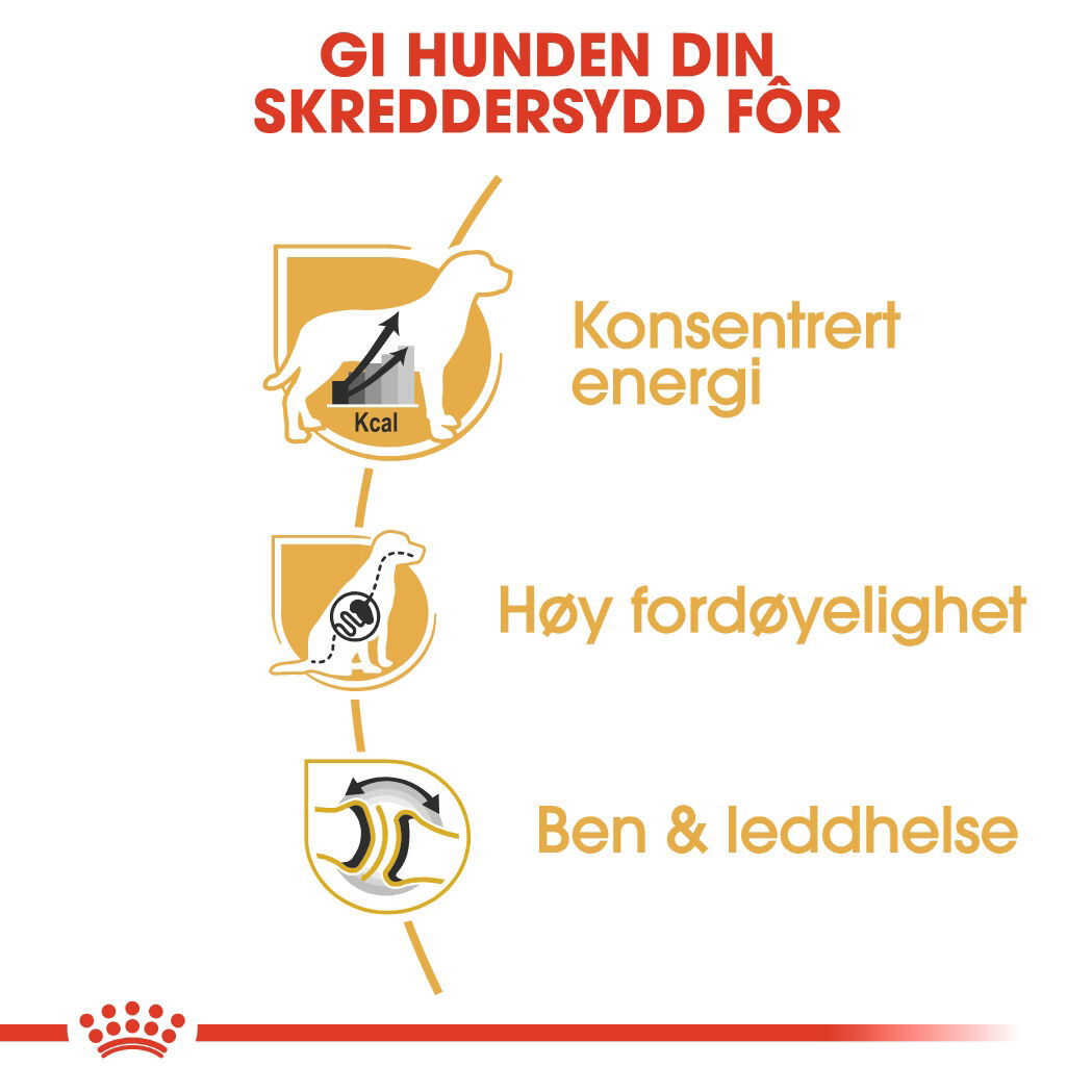 Royal Canin Great Dane Adult tørrfôr til hund