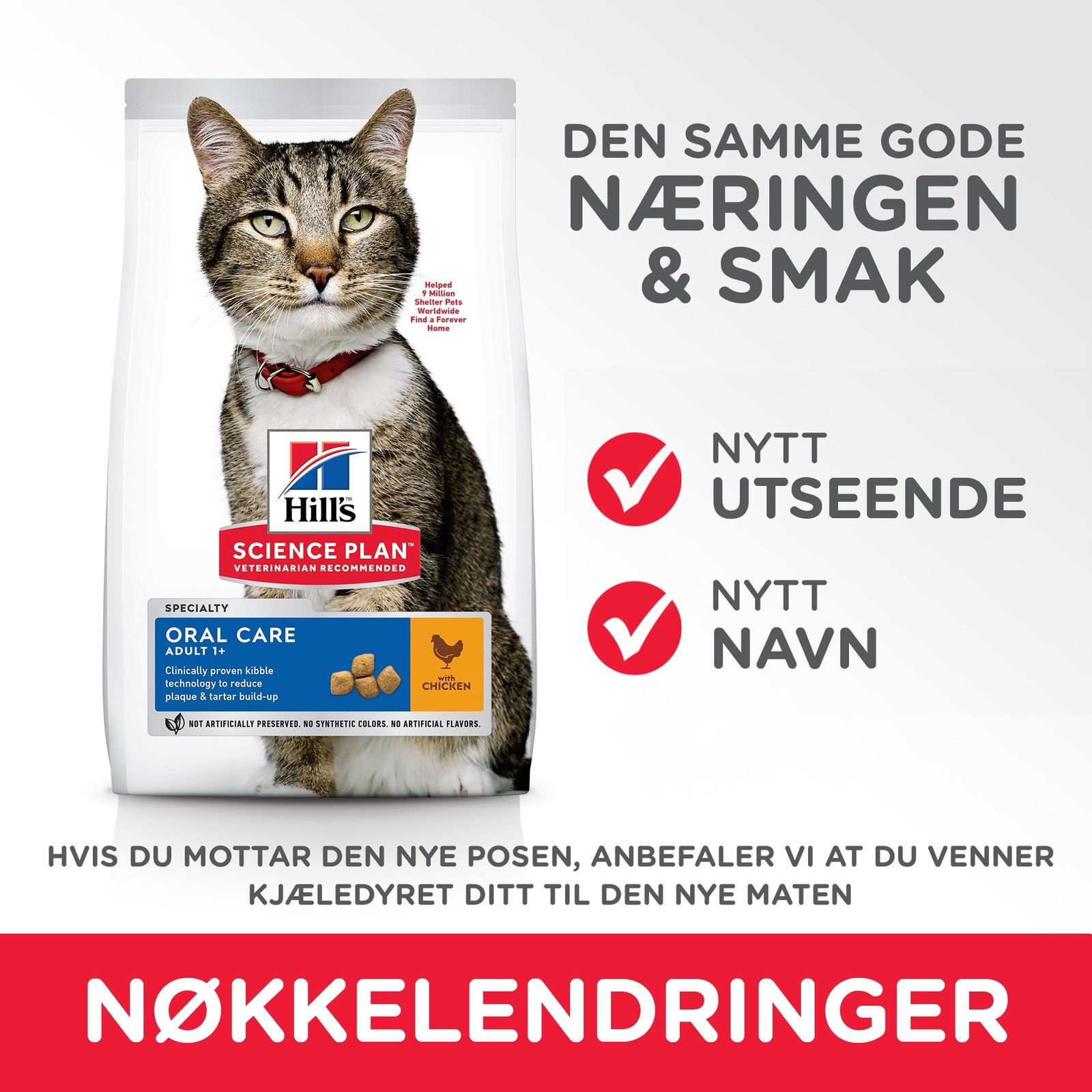 Hills Science Plan Feline Adult Oral Care