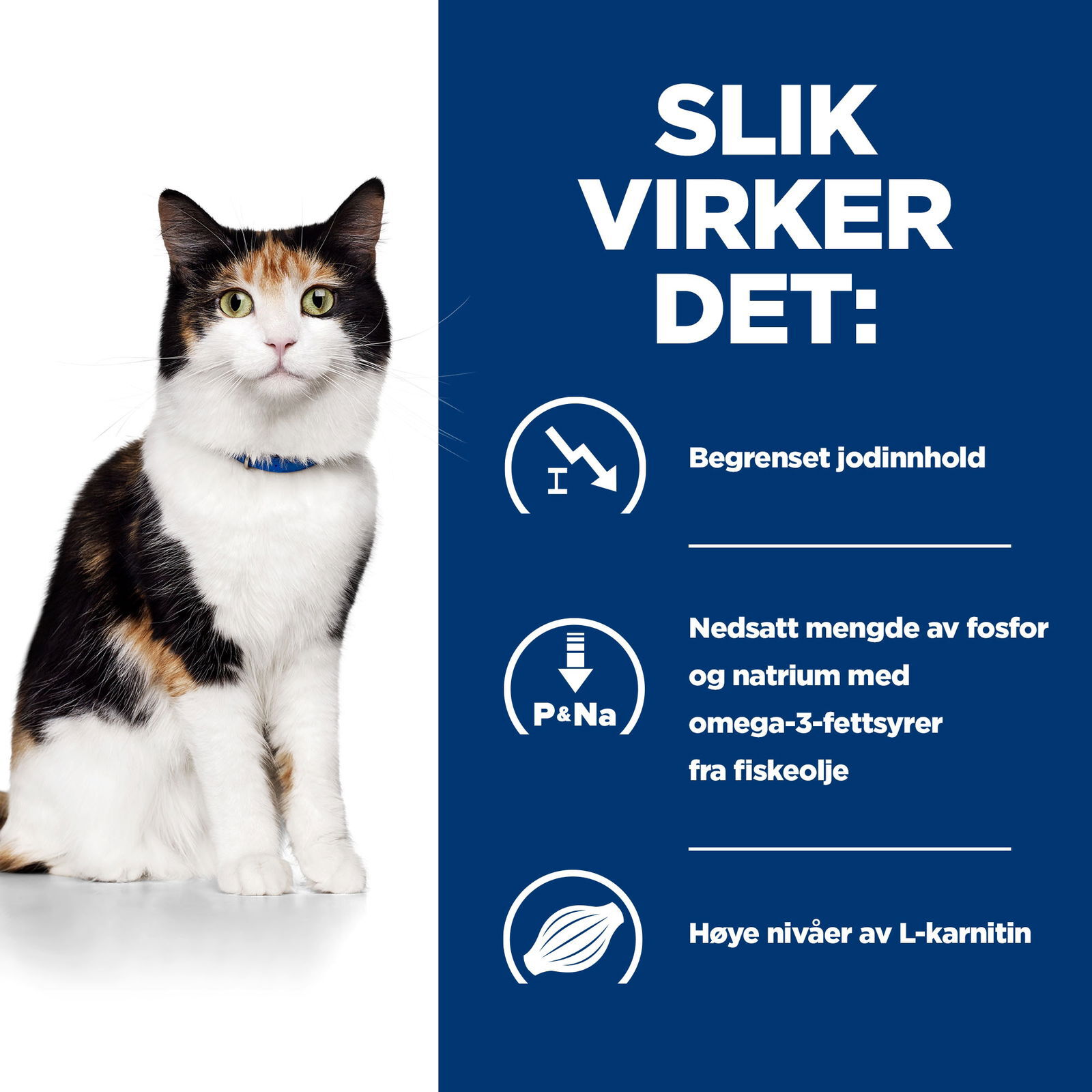 Hills Diet Cat y/d 1,5kg