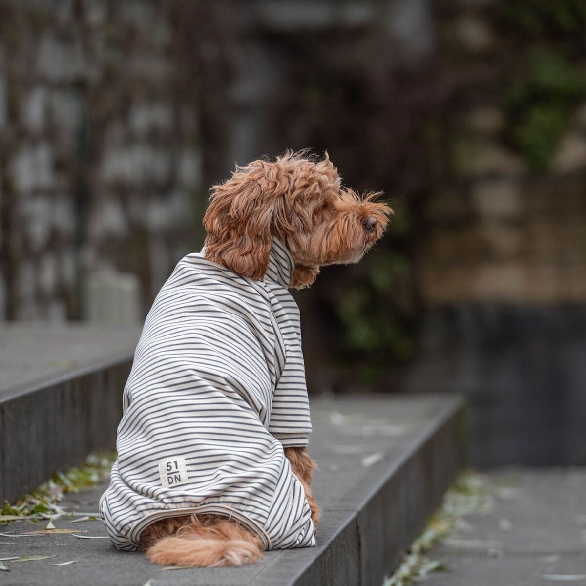 51 Degrees North Sweet dreams PJ, grey stripes