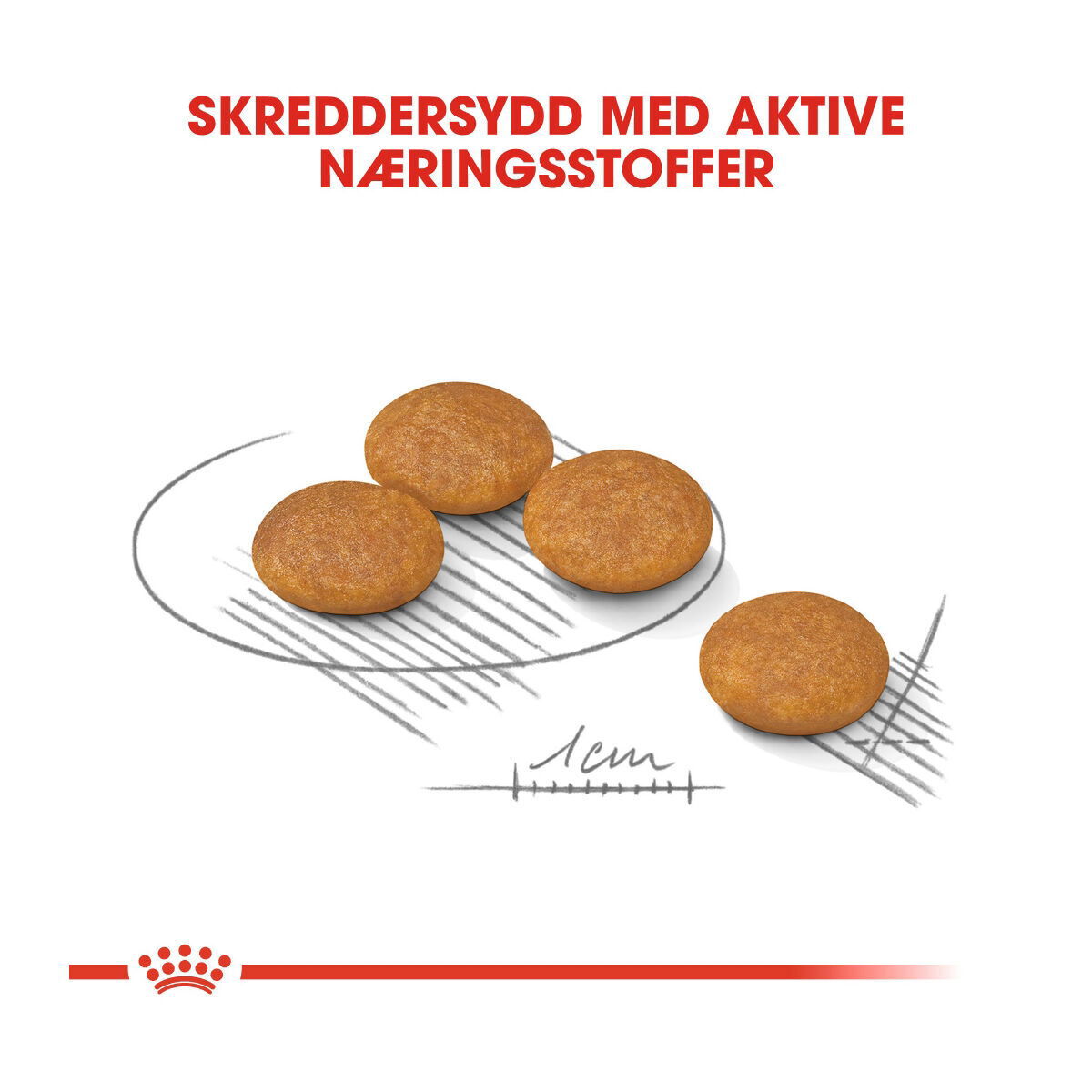 Royal Canin Mini Dermacomfort 