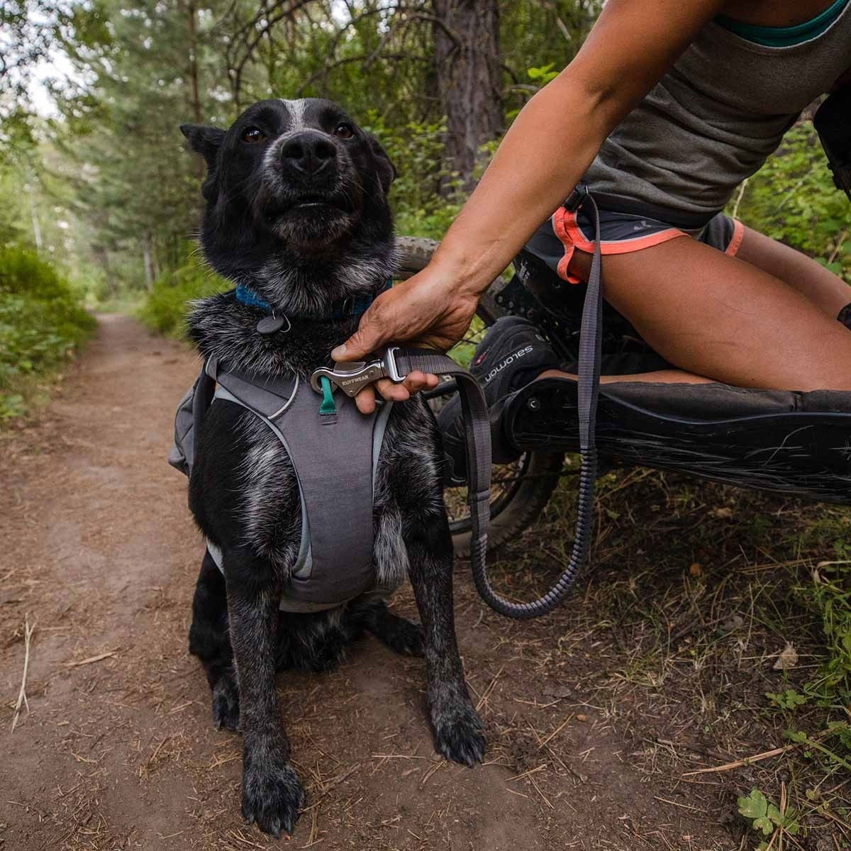 Ruffwear Roamer™ Leash Granite Gray 
