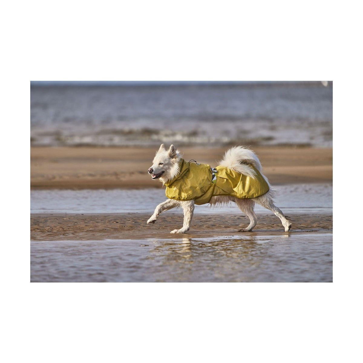 Hurtta Mudventure Coat Reflective turmeric