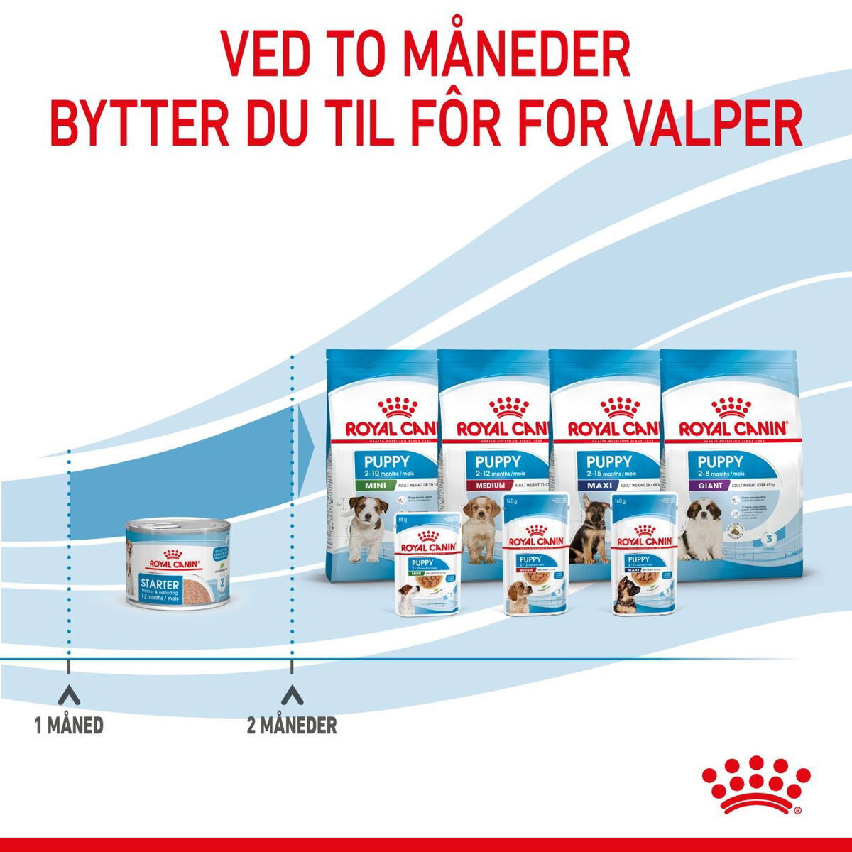 Royal Canin Mother & Babydog Starter Mousse våtfôr til hund og valp