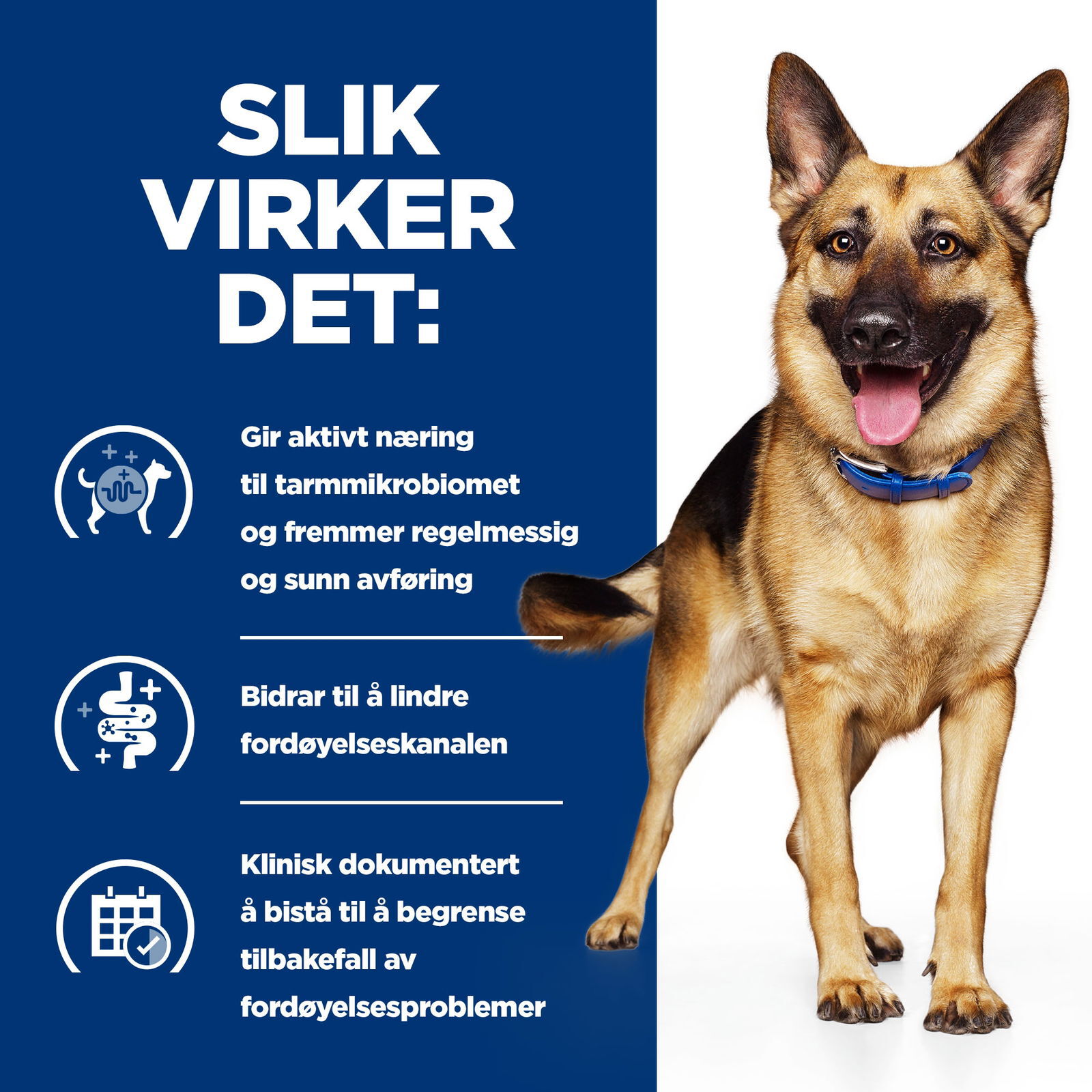 Prescription Diet Gastrointestinal Biome Hund med Kyckling