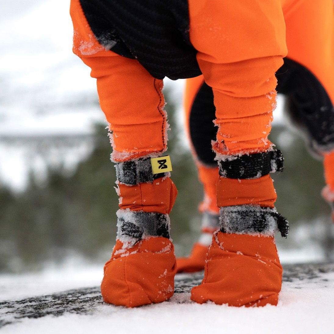 Non-Stop Contact bootie high 4-pack