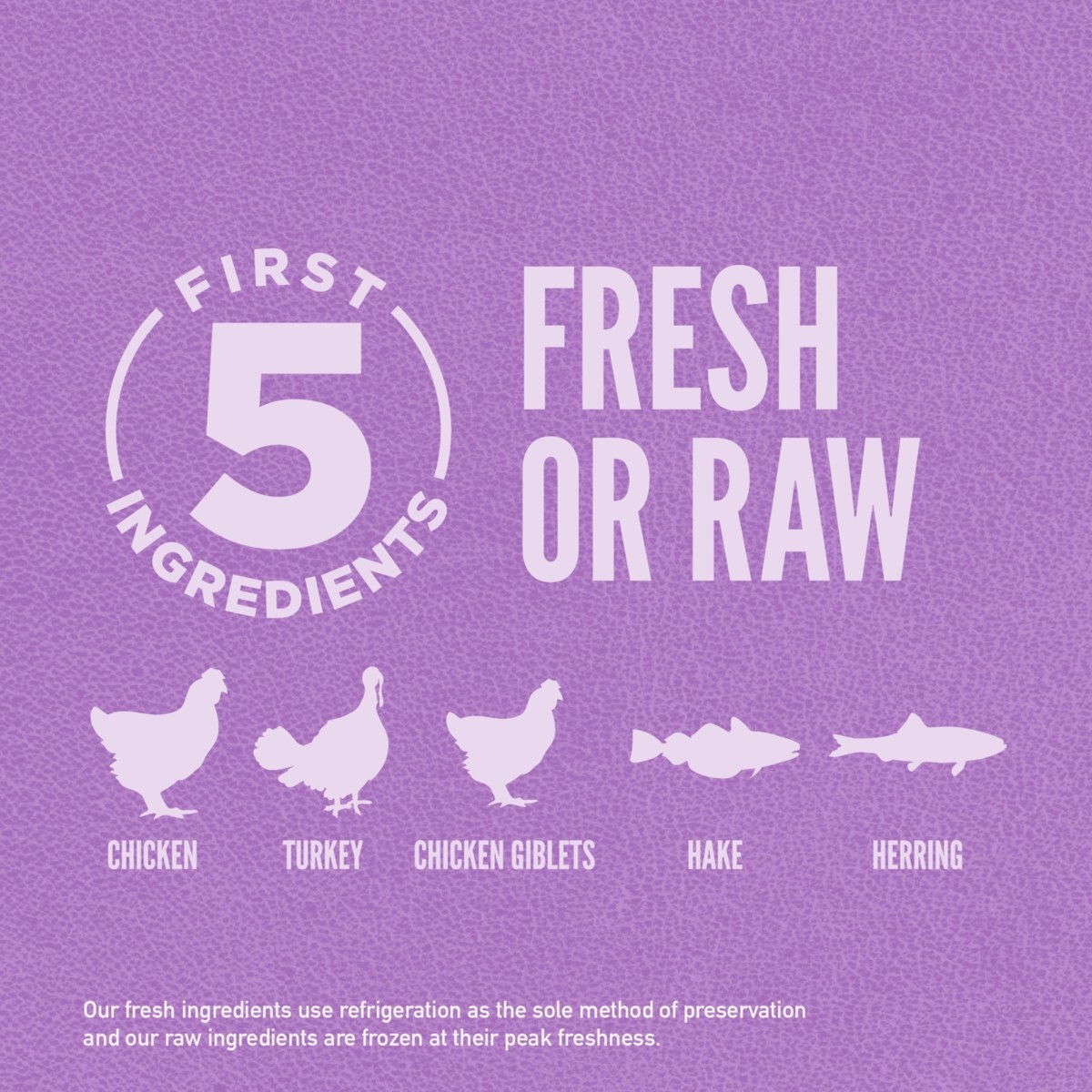 Orijen Dog Puppy Large Breed 