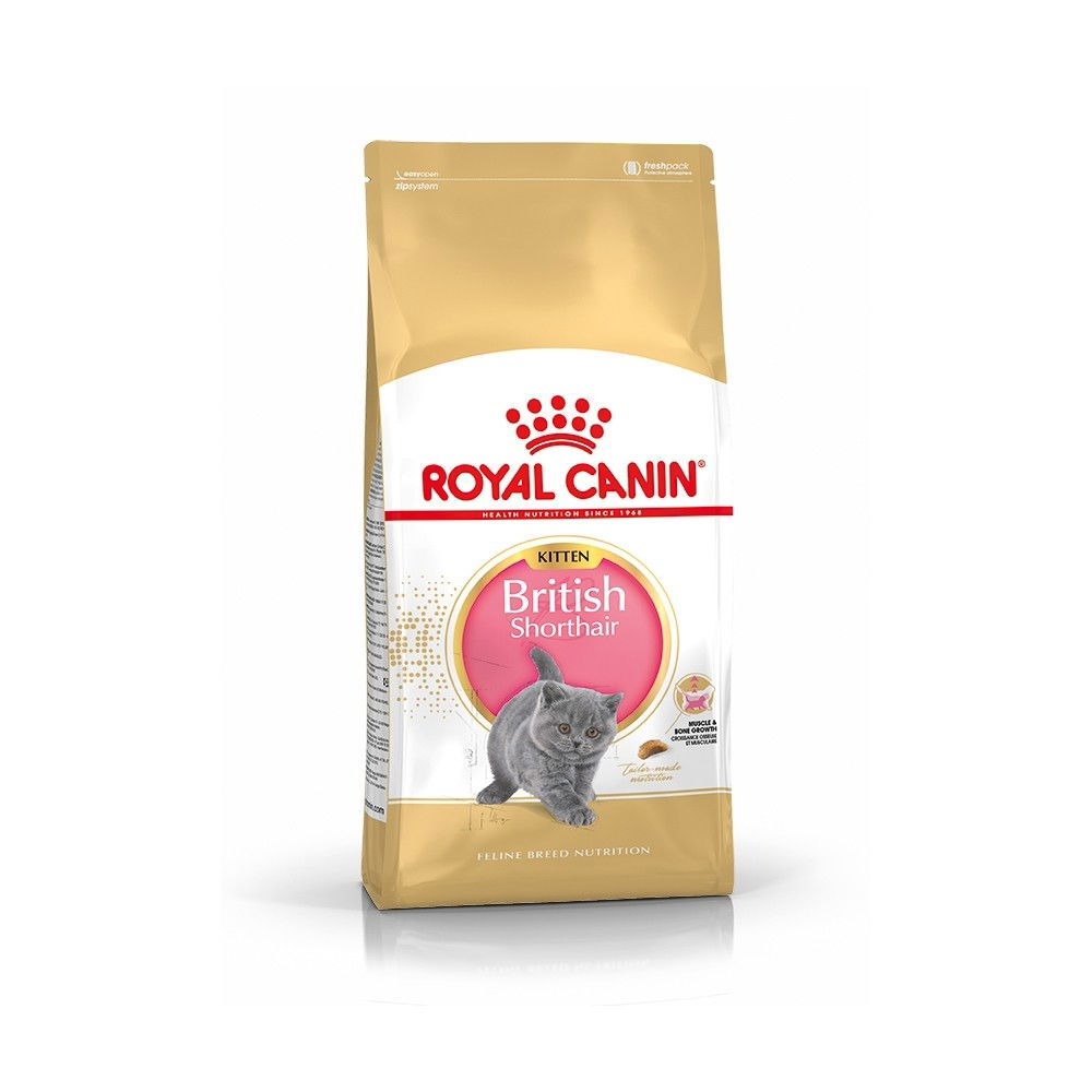 Royal Canin British Shorthair Kitten tørrfôr til kattunge