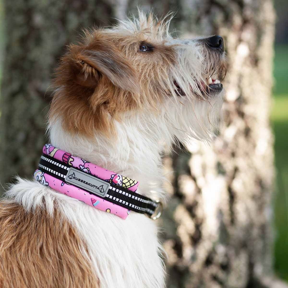 Kusse&Kutta half choke collar, lycra, doughnut ponies