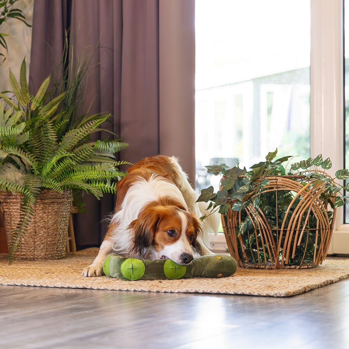 Beeztees Hide N Seek Jungle Kani Snake