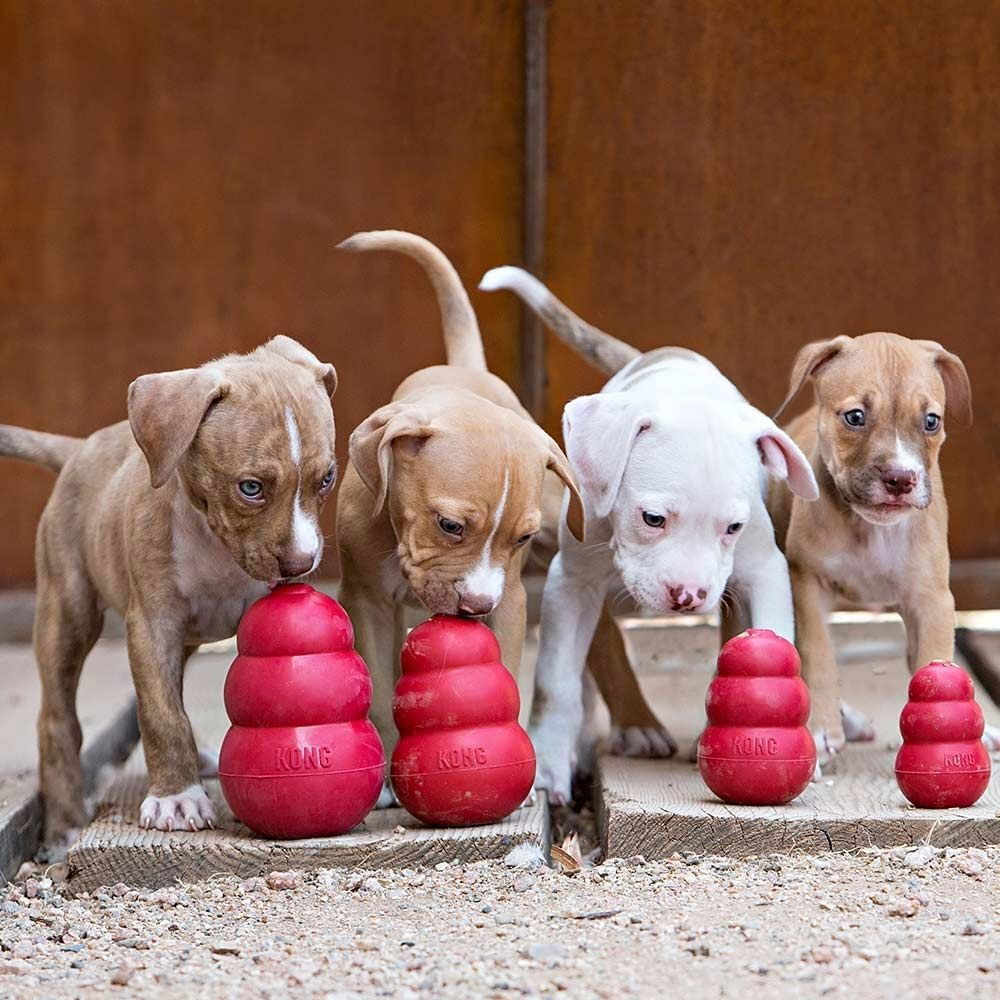 KONG Classic rød