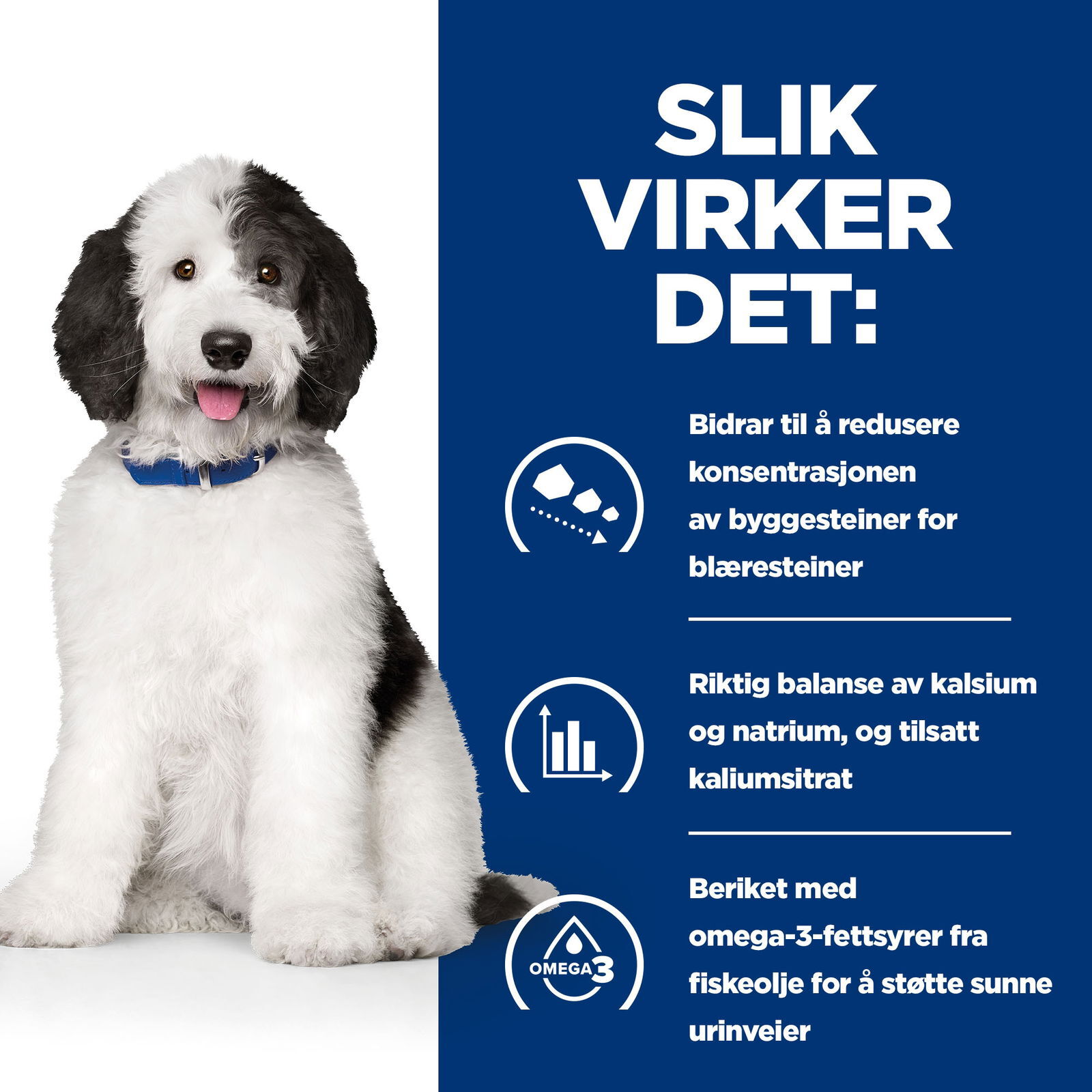 Hills Diet Dog c/d Multicare 2kg