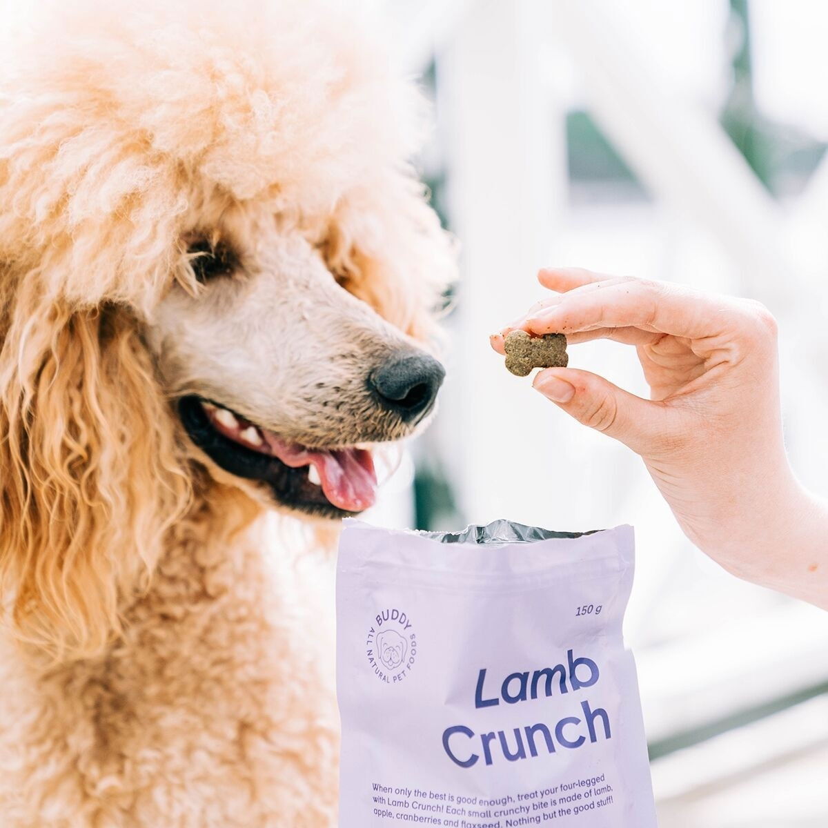Buddy Lamb Crunch Dog Treats 150g