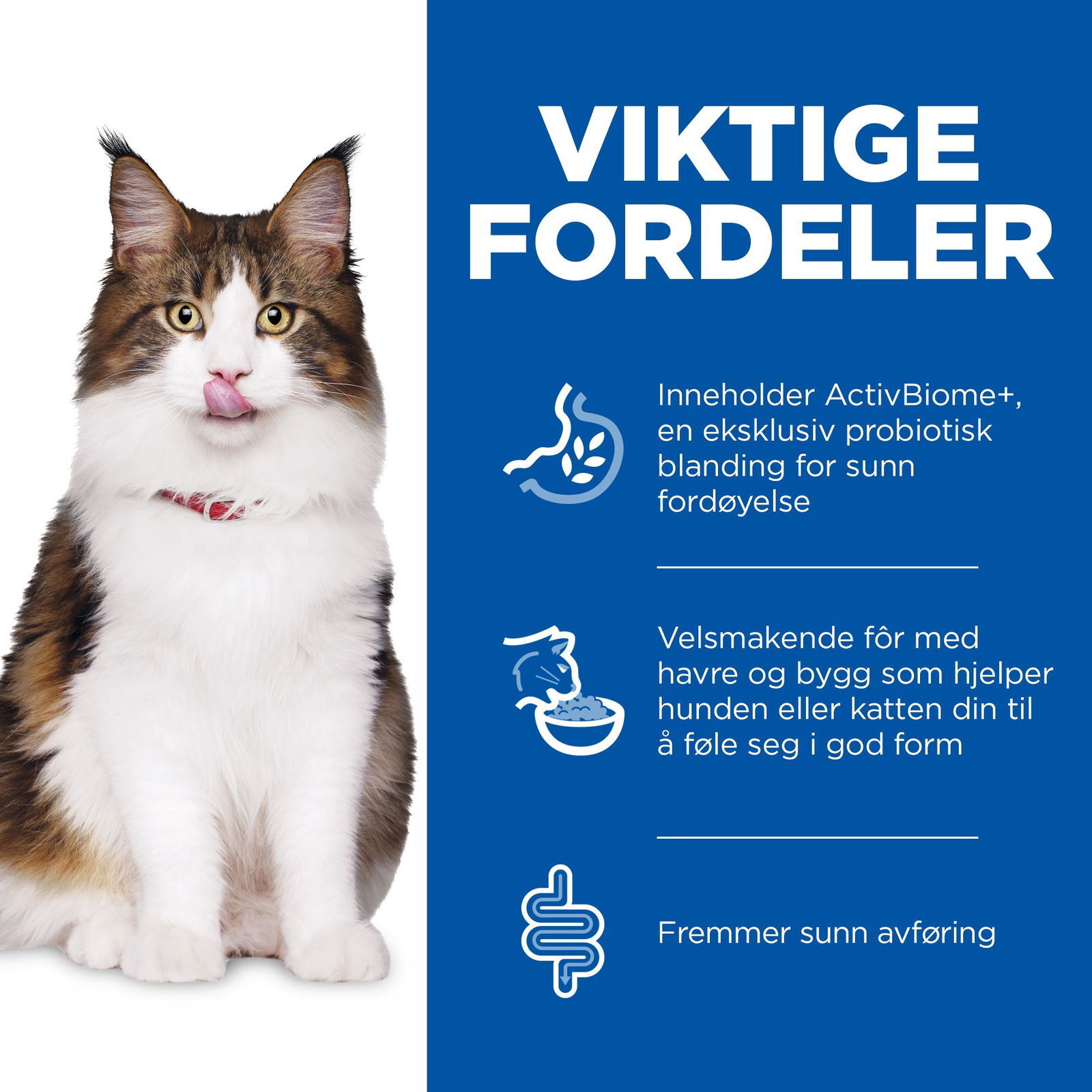 Hill's SP Cat Perfect Digestion Adult 1+ Chicken&Brown rice