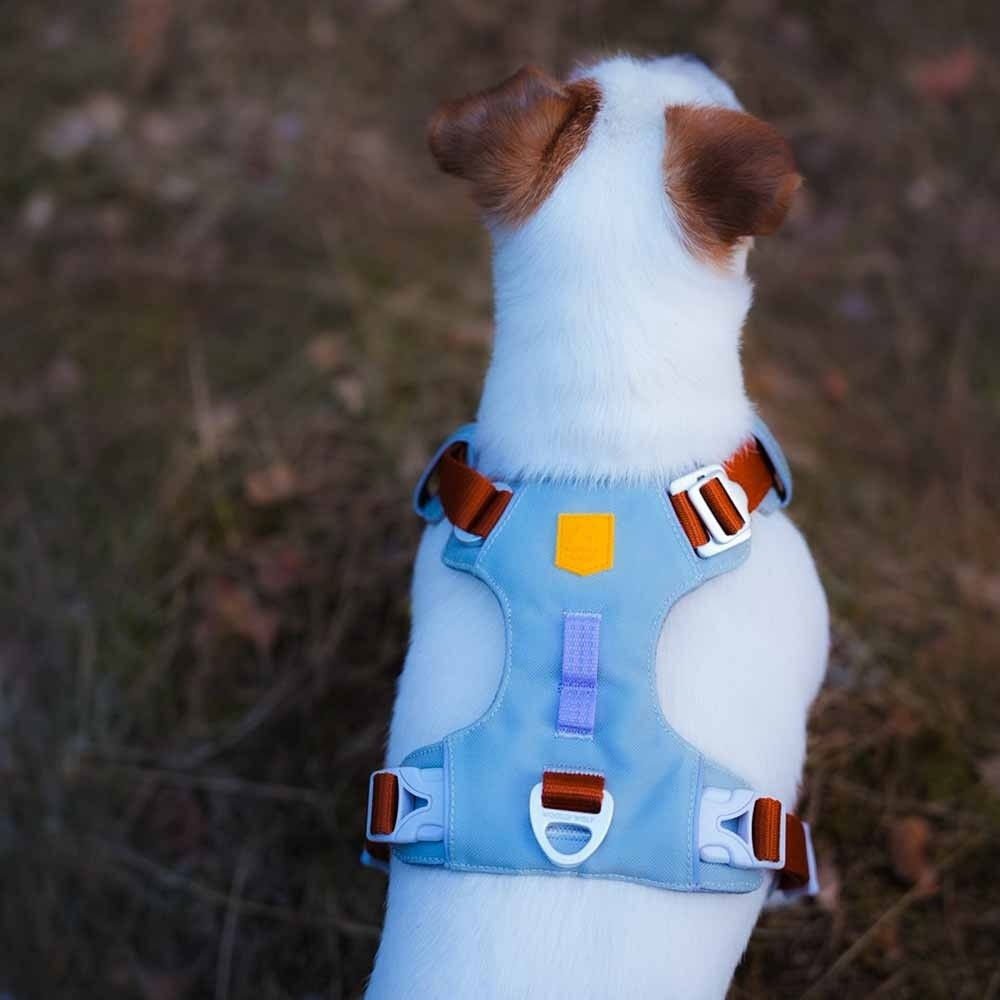 Woolly Wolf Alpha 360 Harness, Glacier Green Mix 