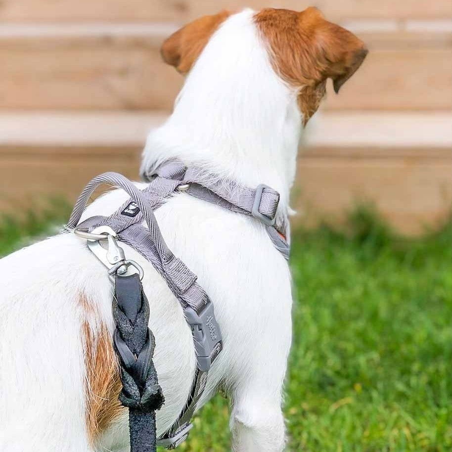 Hurtta Venture No-Pull Harness bilberry