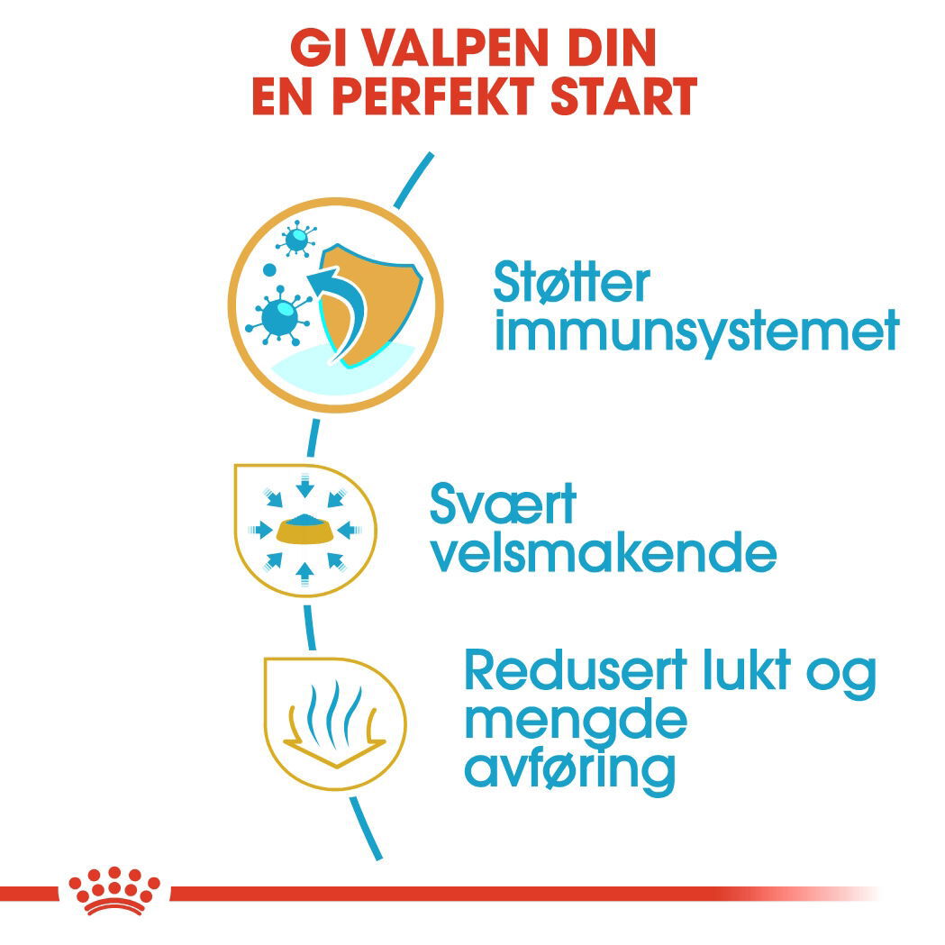 Royal Canin Chihuahua Puppy tørrfôr til hundvalp