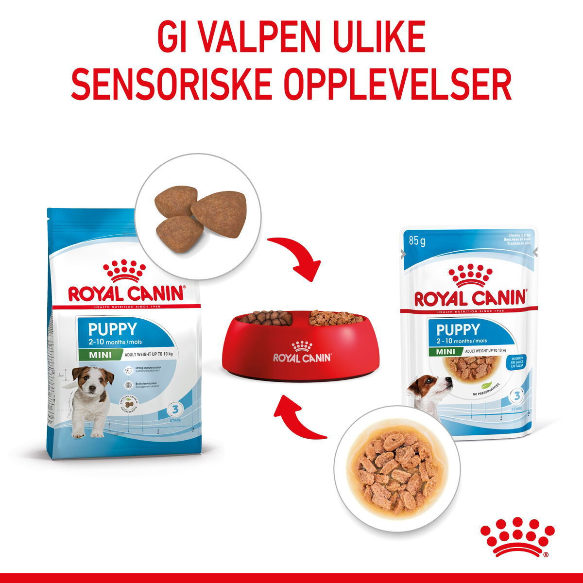 Royal Canin Mini Puppy våtfôr til valp