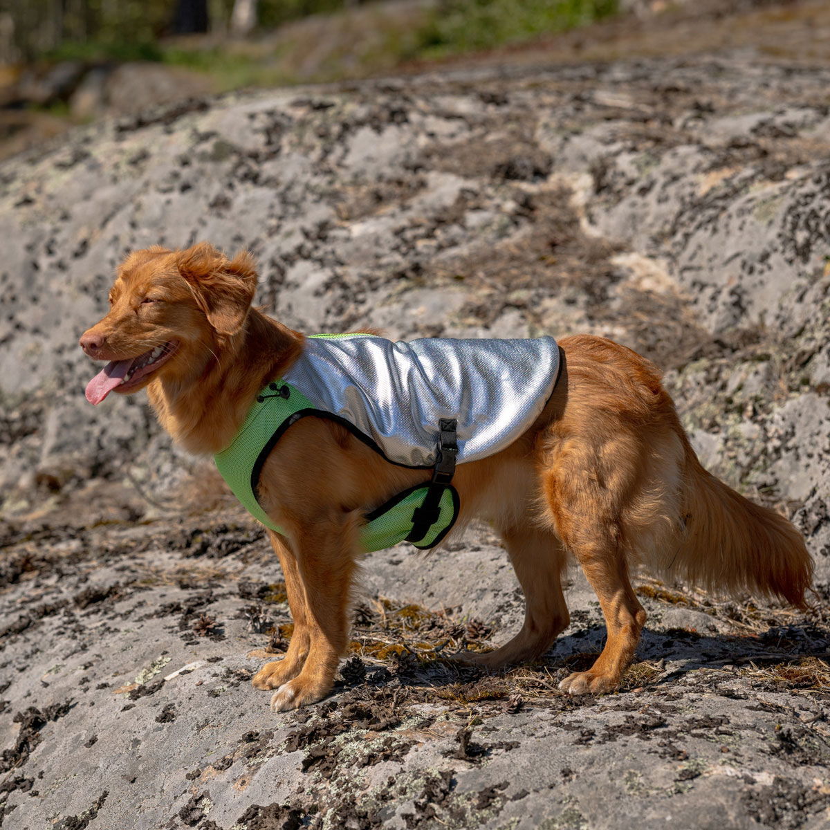 Feel Active Cooling XTR vest apple green