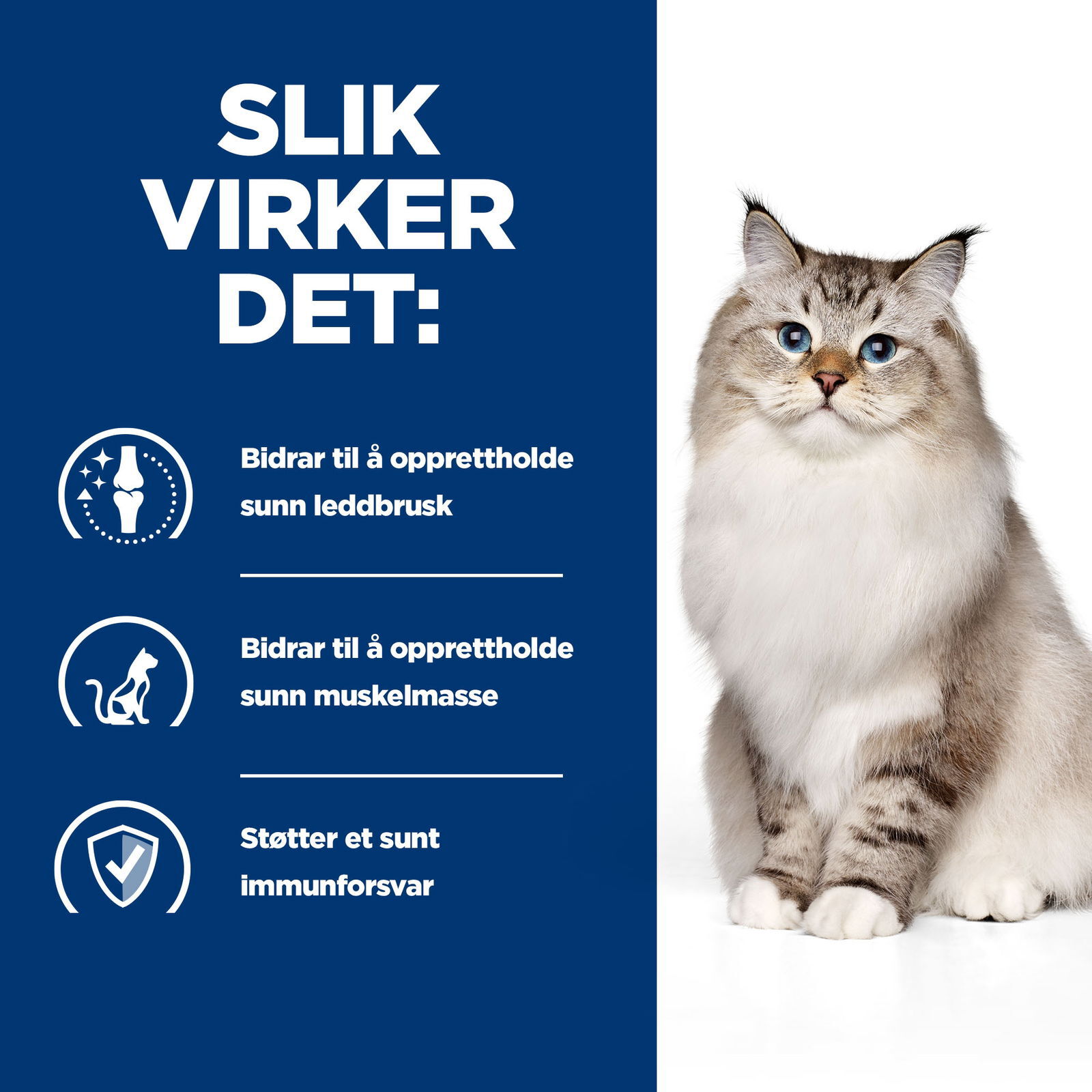 Hills Diet Cat j/d 5kg