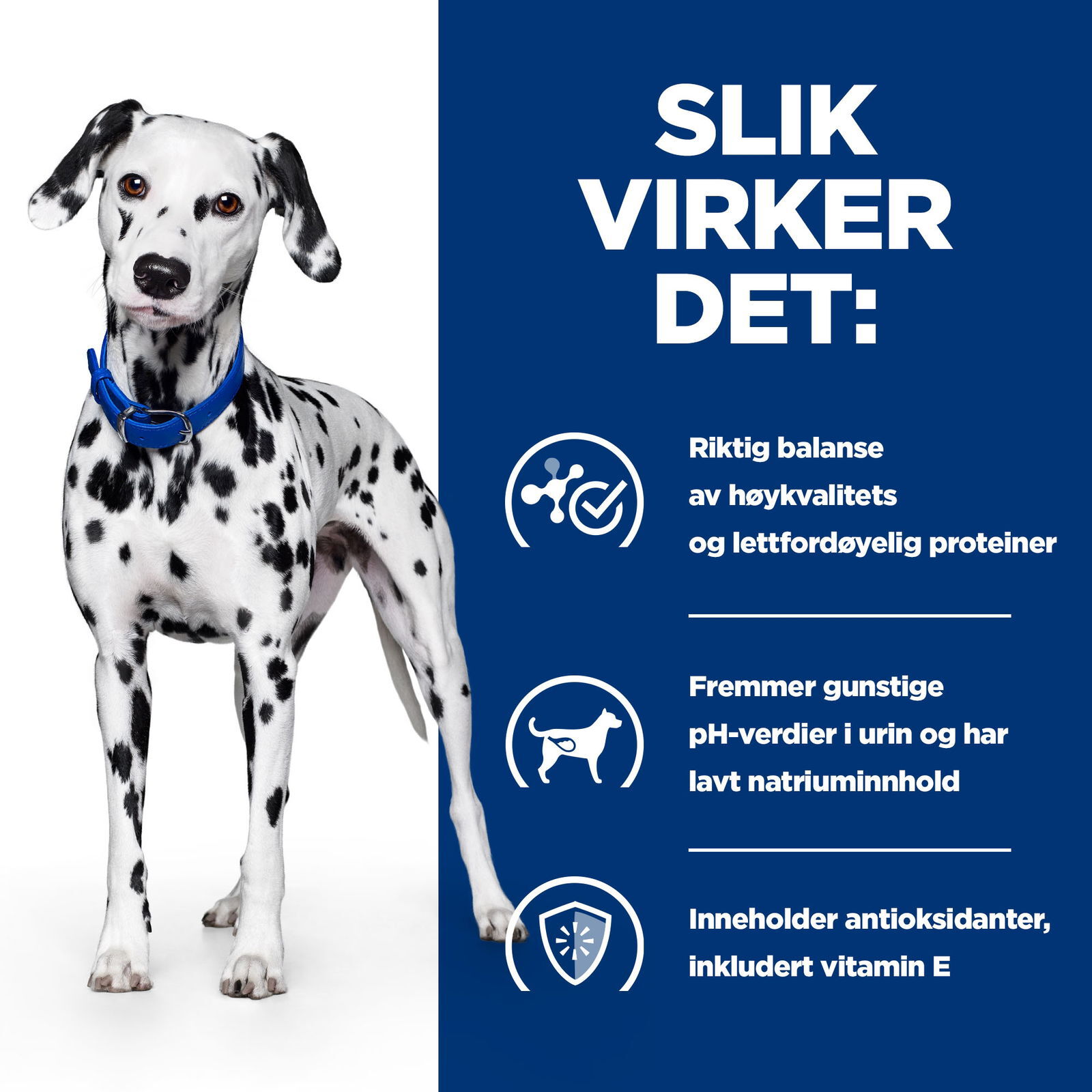 Hills Diet Dog u/d 5kg