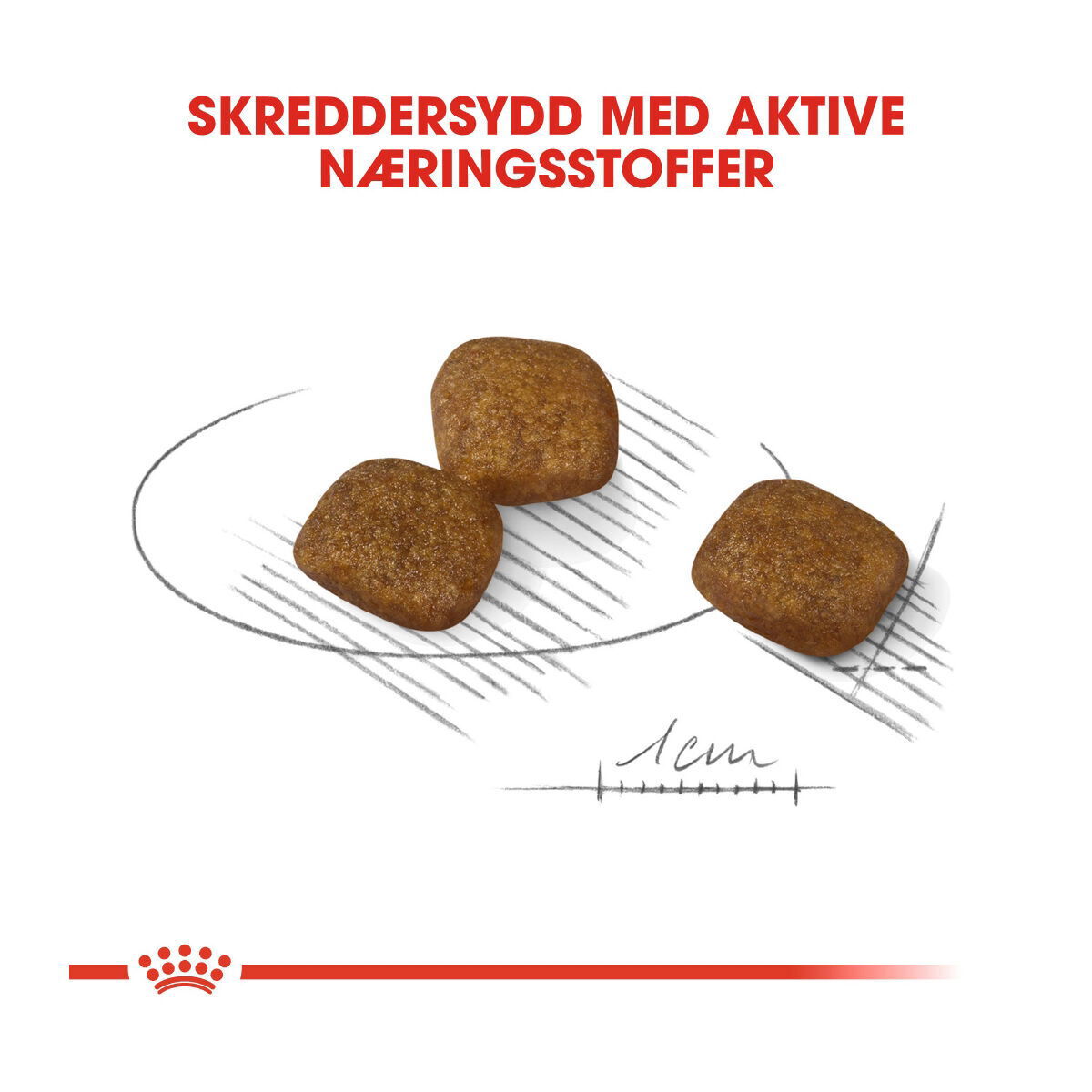 Royal Canin Coat Care Mini Adult tørrfôr til hund