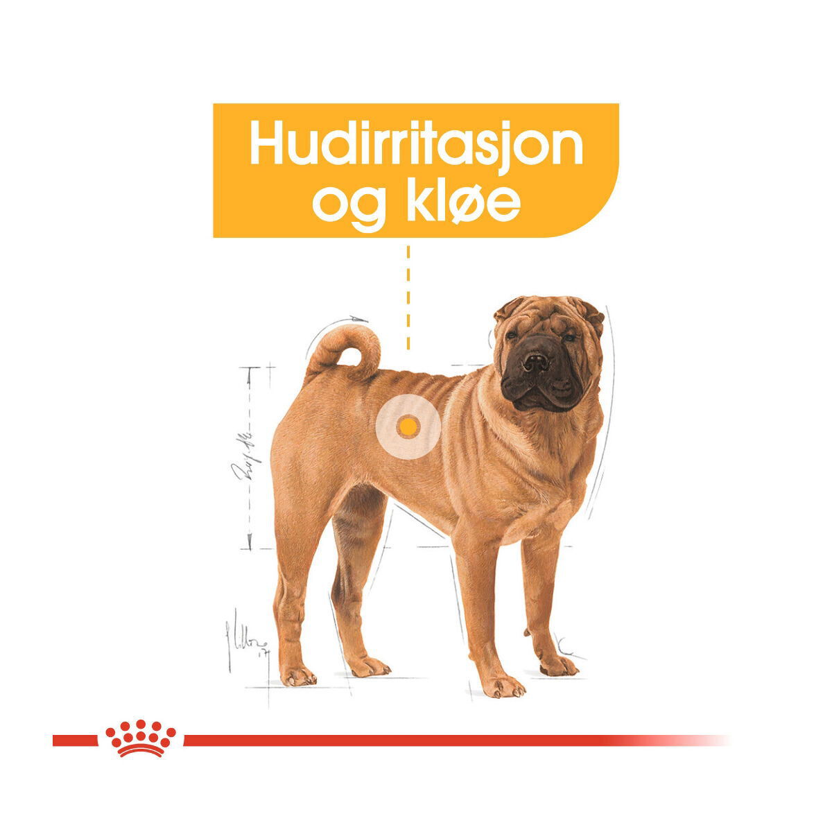 Royal Canin Dermacomfort Medium Adult tørrfôr til hund